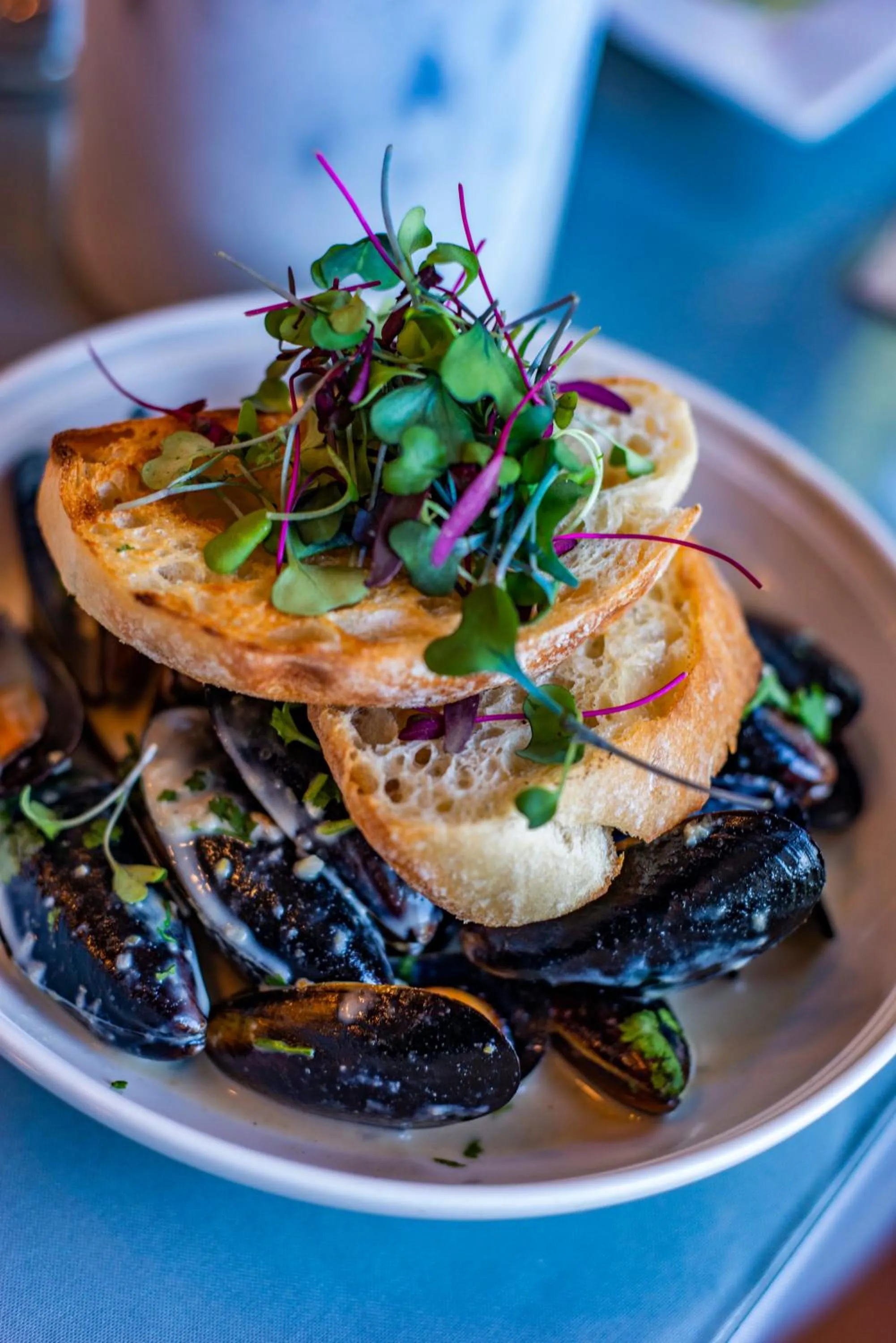 Restaurant/places to eat in The Tranquil House Inn