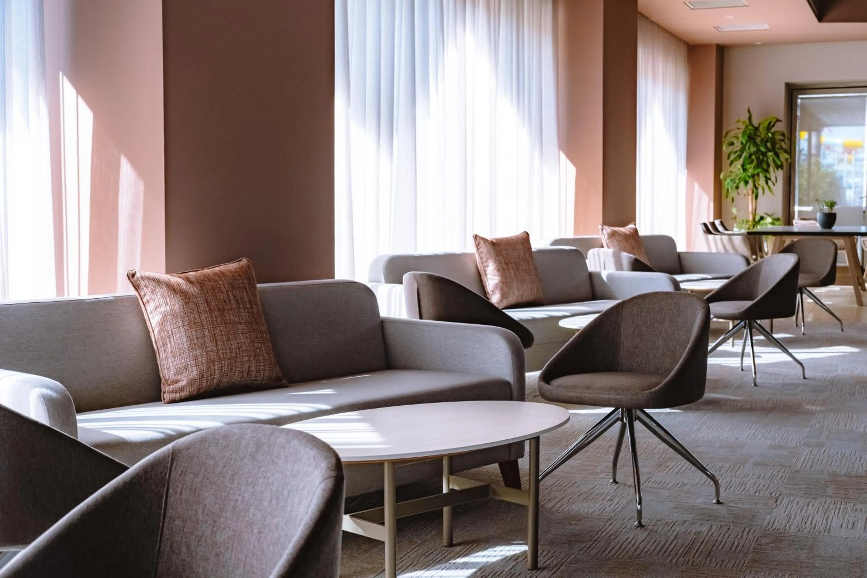 Entertainment in Barut GOIA