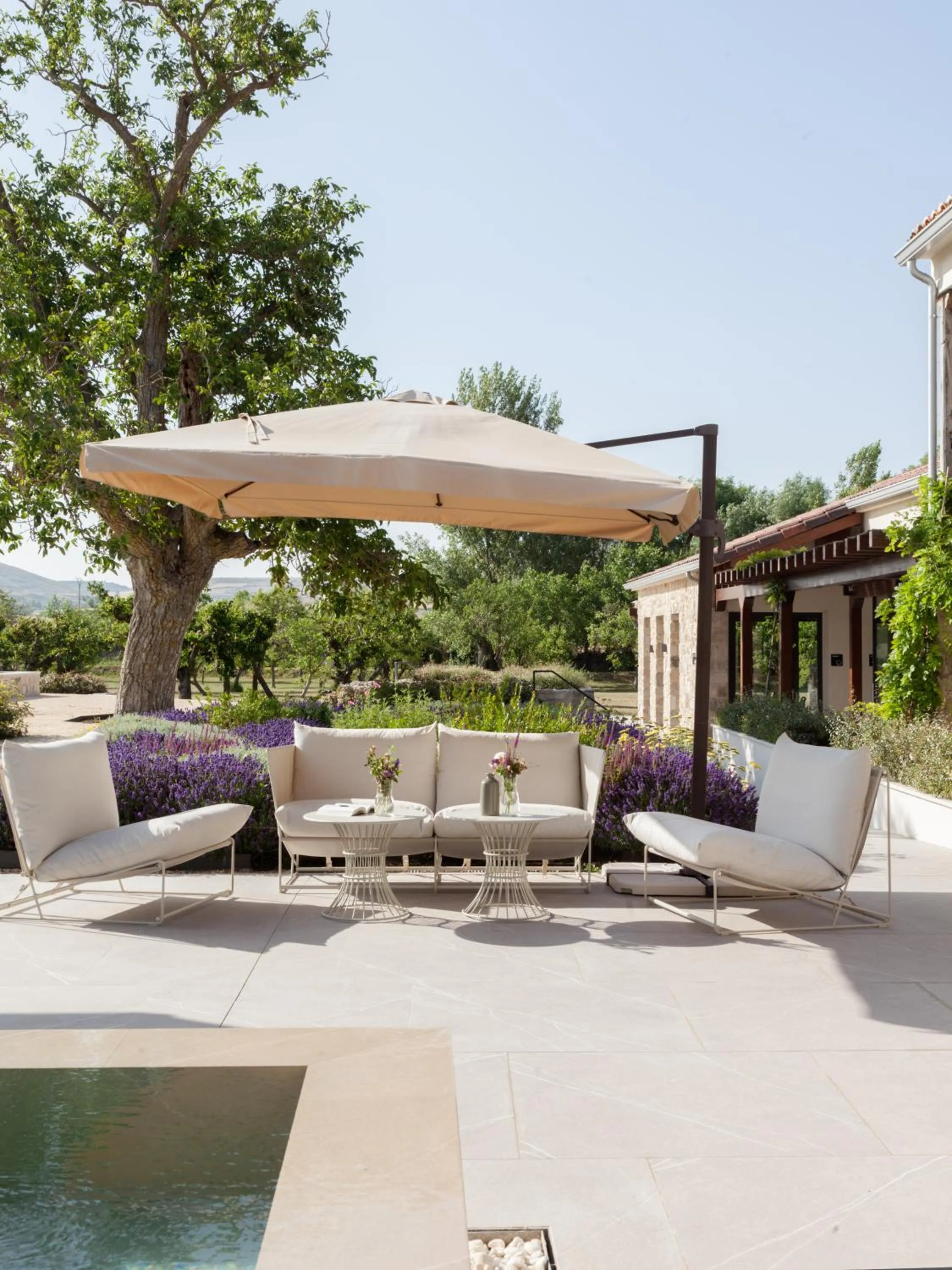 Garden in Quinta San Francisco