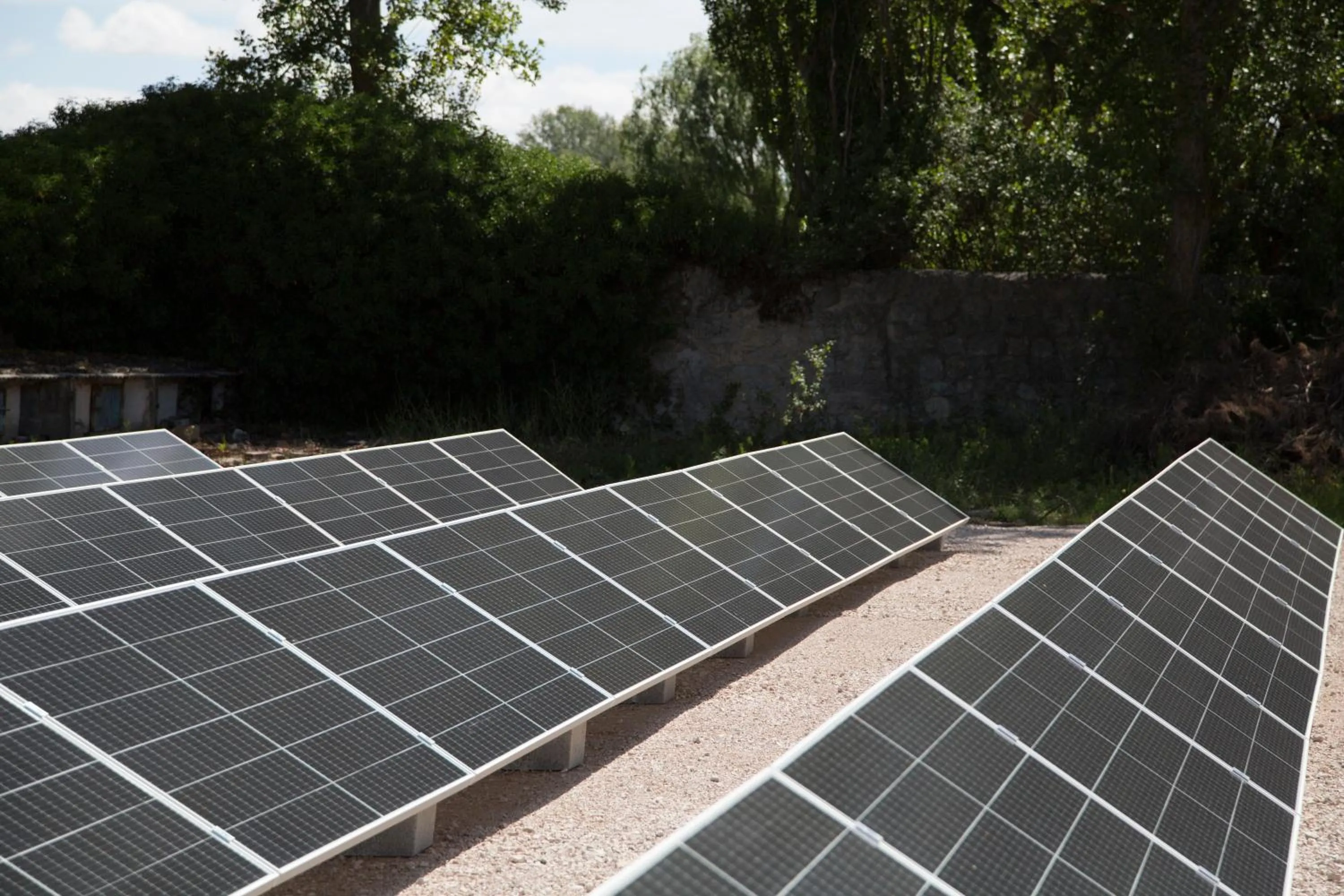 Garden in Quinta San Francisco