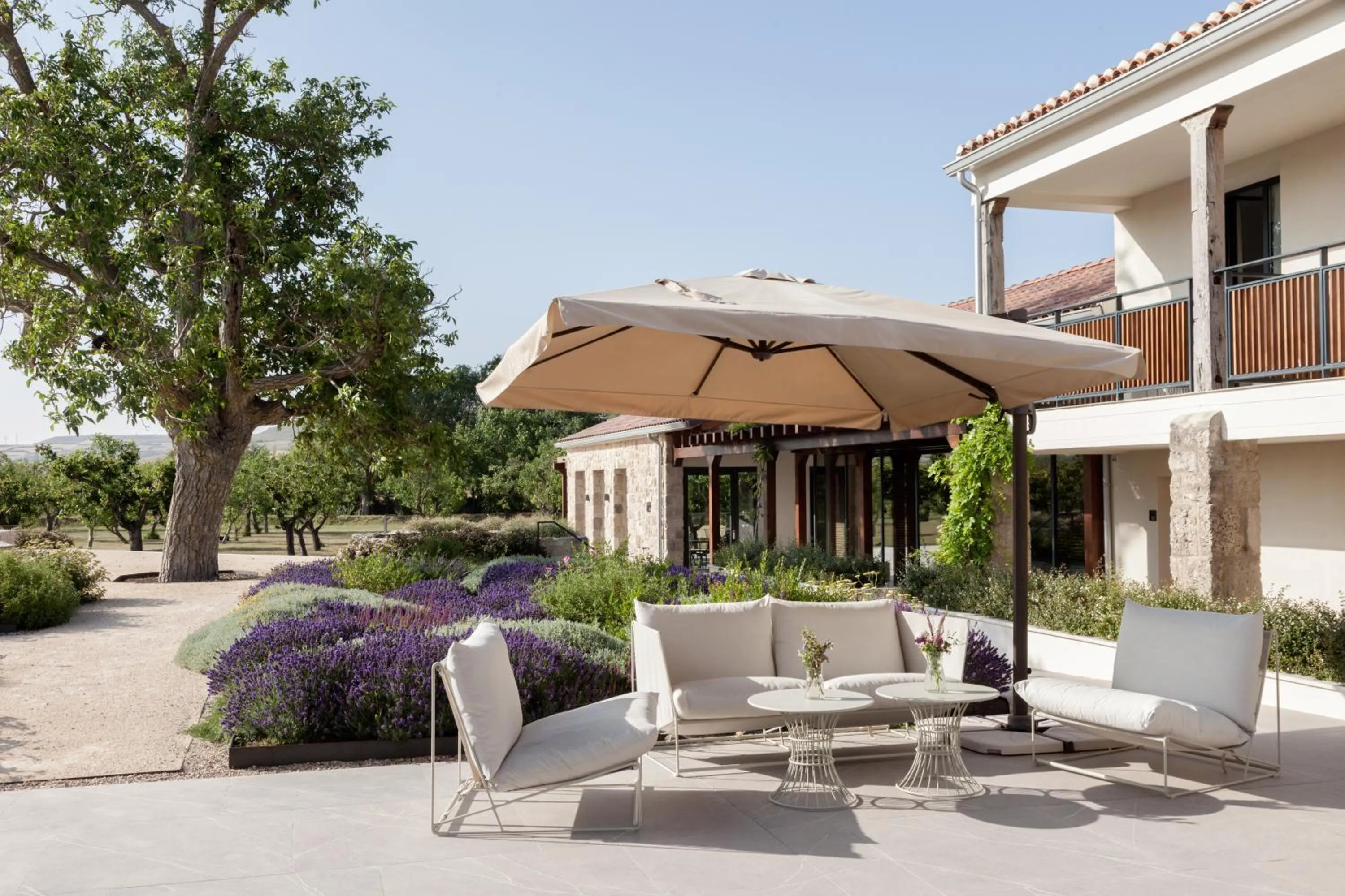 Garden in Quinta San Francisco