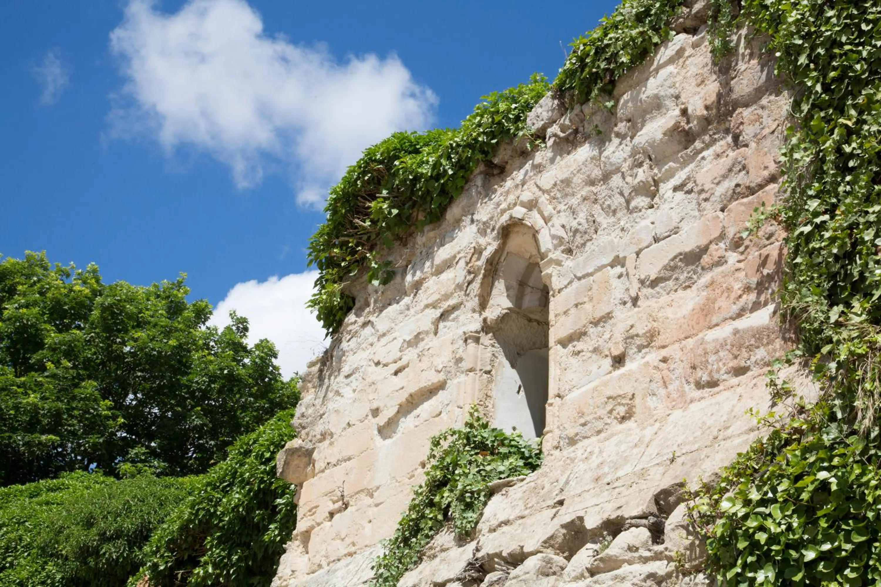 Off site in Quinta San Francisco