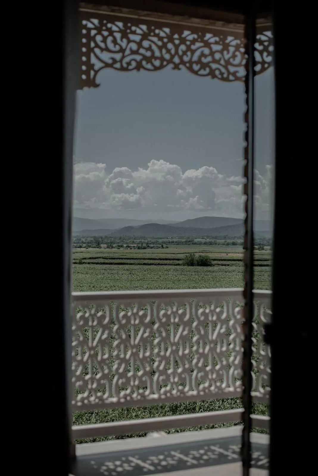 Natural landscape in Chateau Artwine