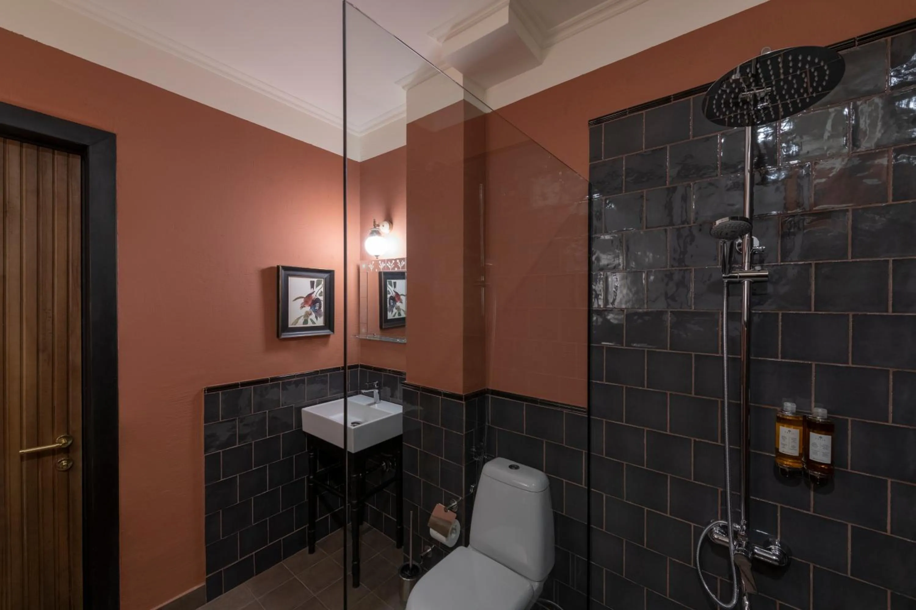 Shower in Communal Hotel Telavi