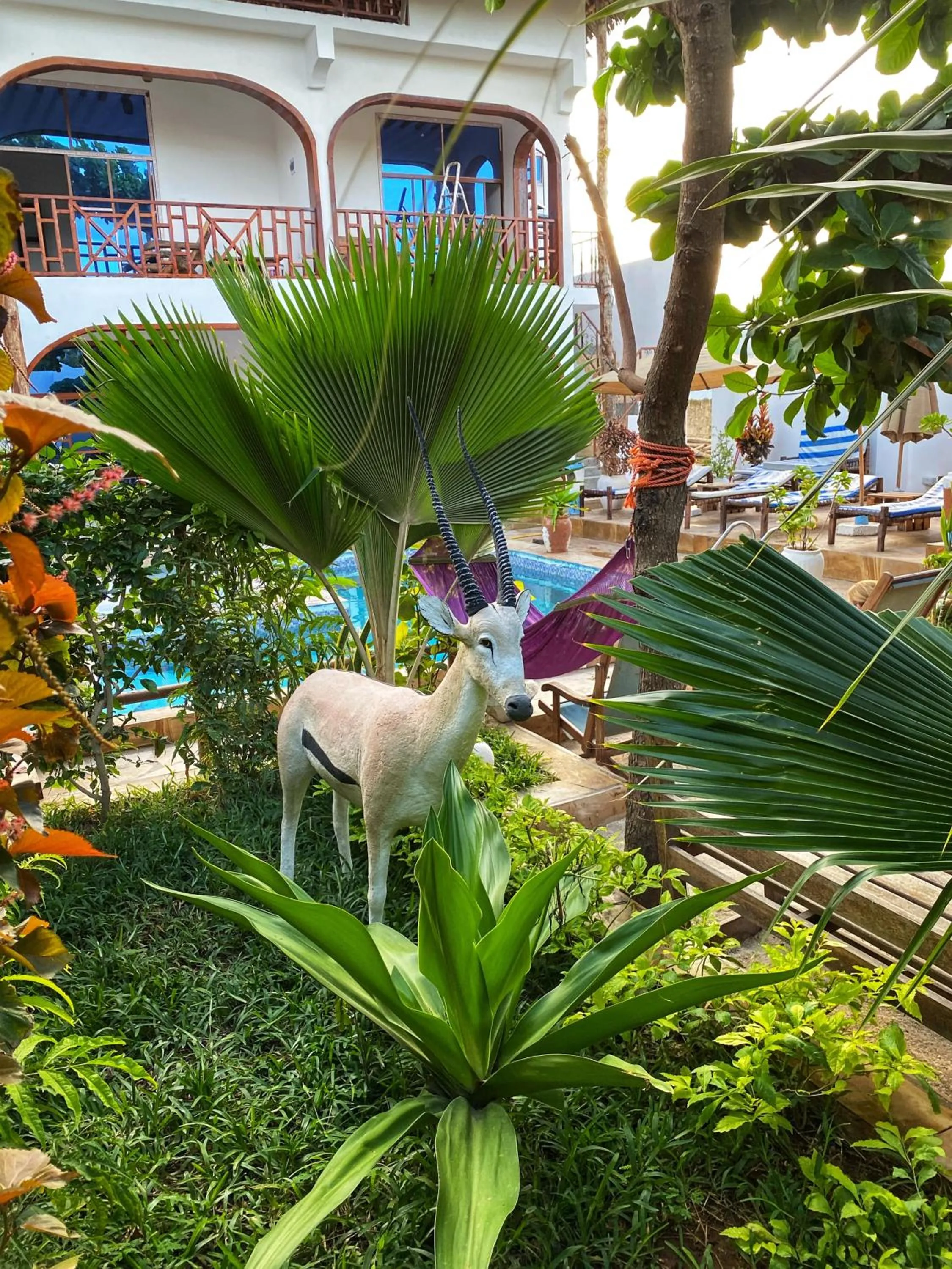 Patio in Utulivu Bungalow