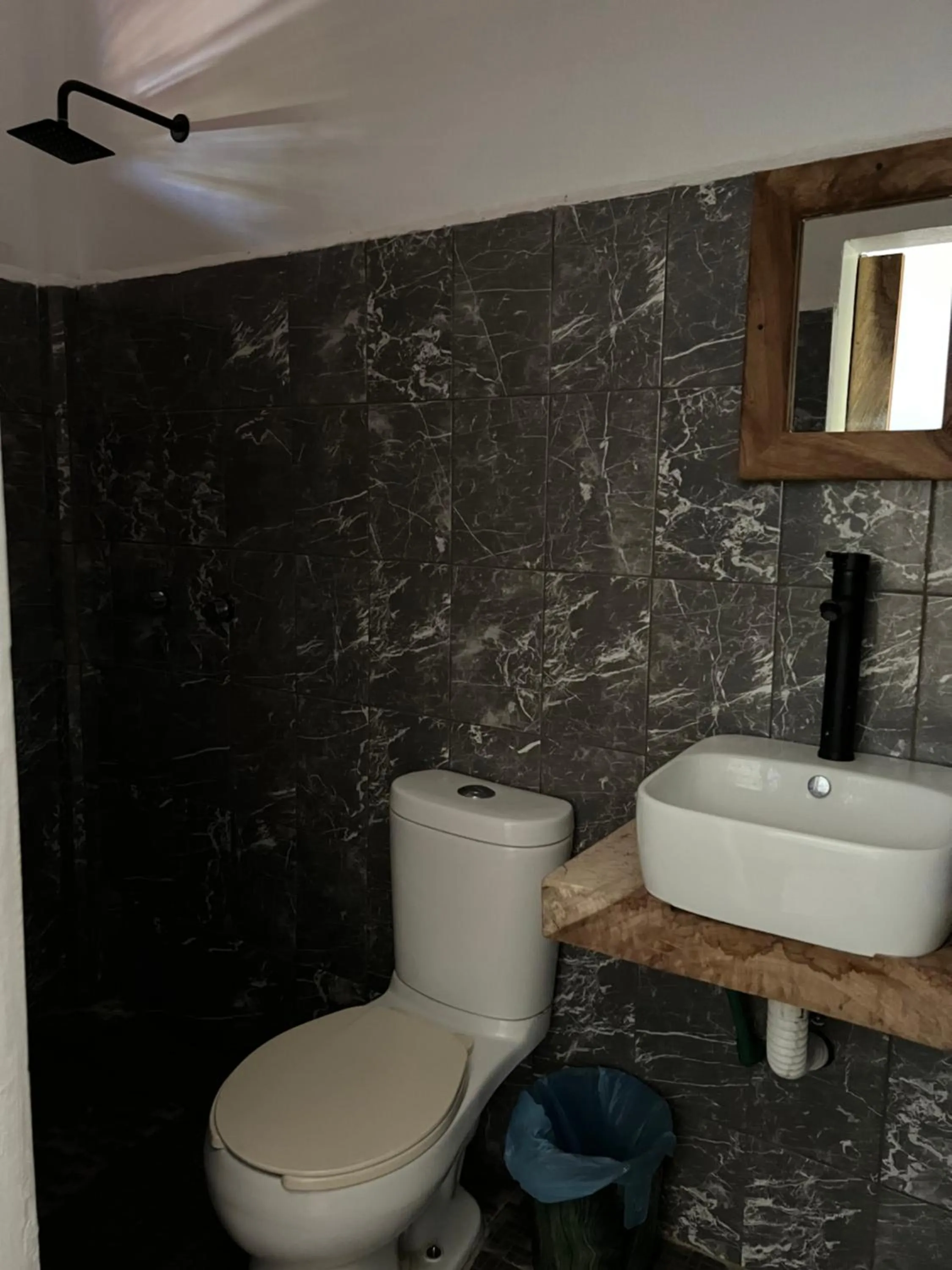 Cabañas las Palmas Chacahua