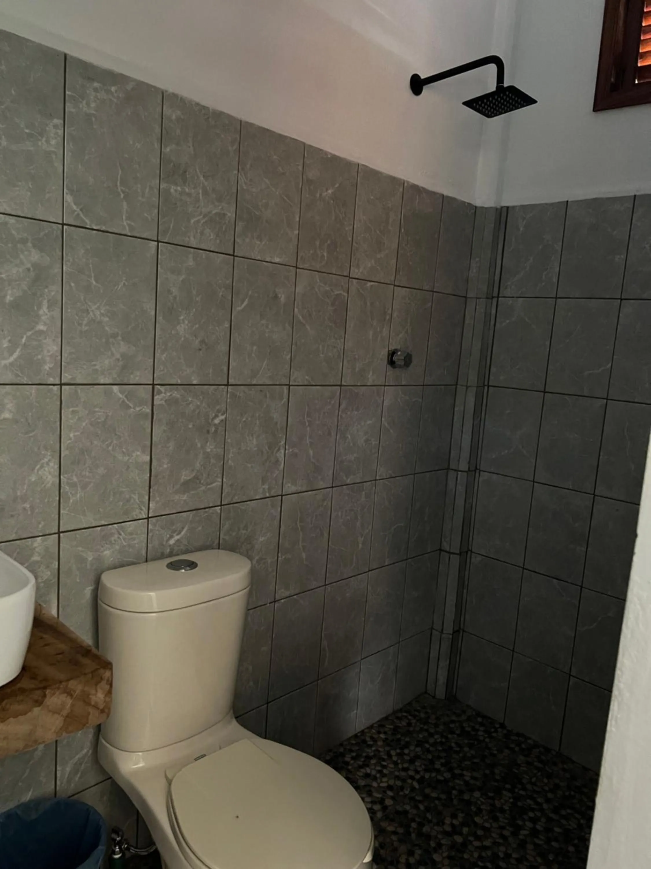 Cabañas las Palmas Chacahua