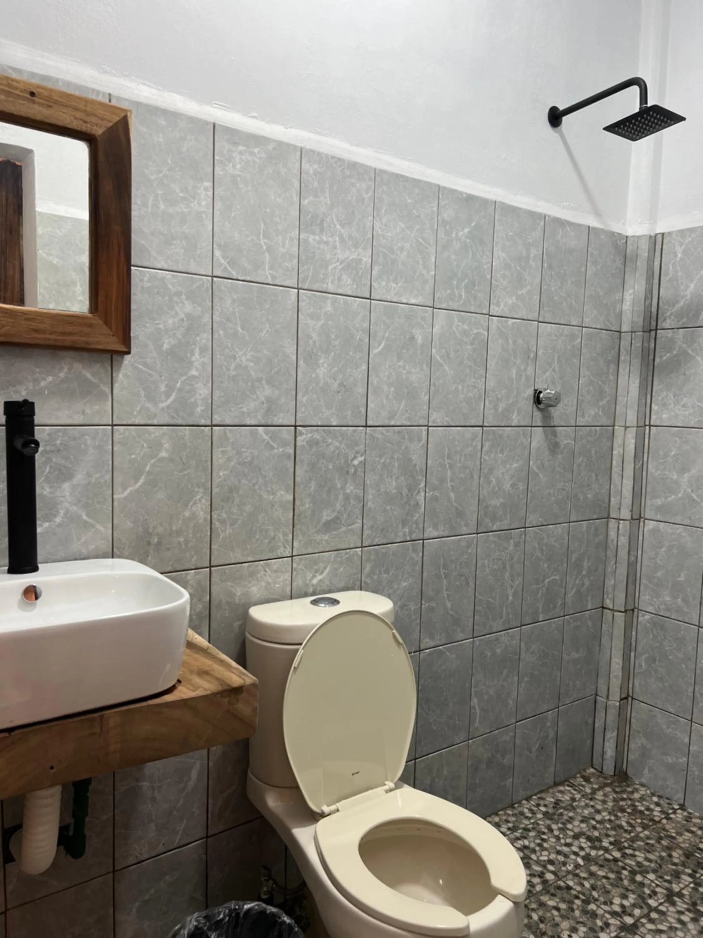 Cabañas las Palmas Chacahua