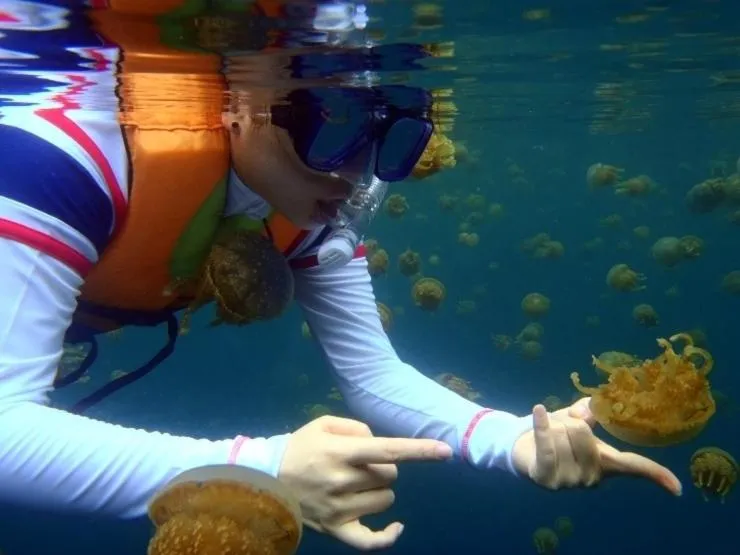 Club Tara Island Resort