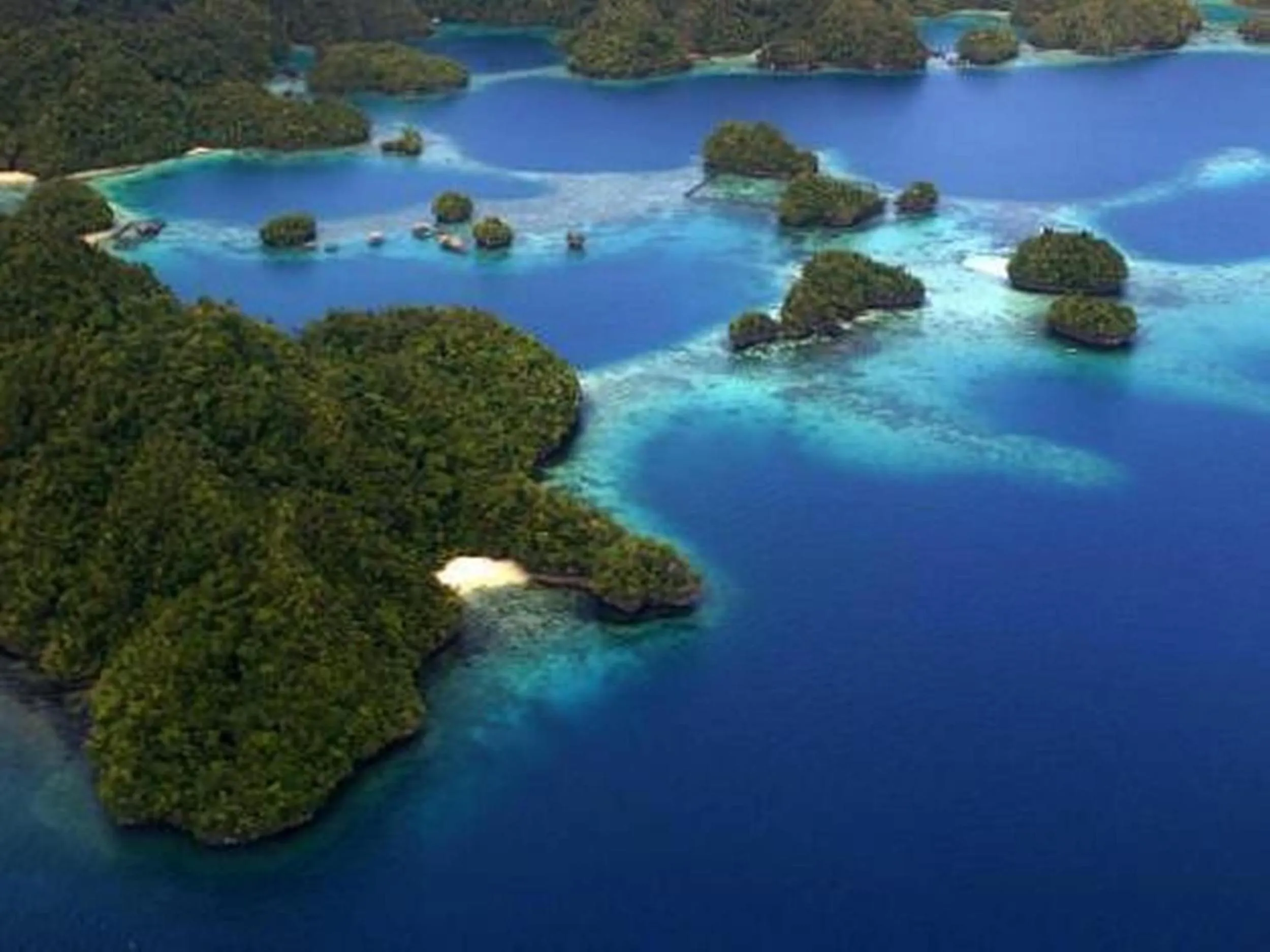 Bird's eye view in Club Tara Island Resort