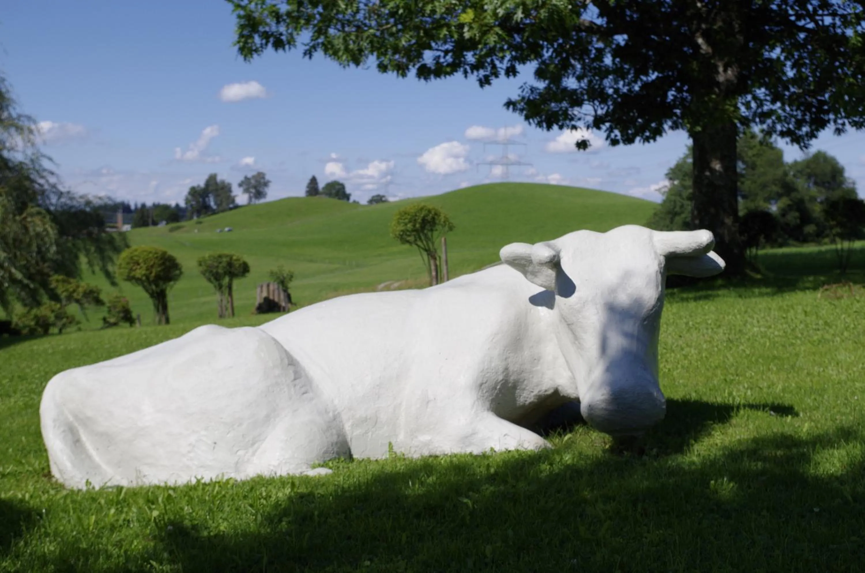 Garden in Hotel Allgäu Garni