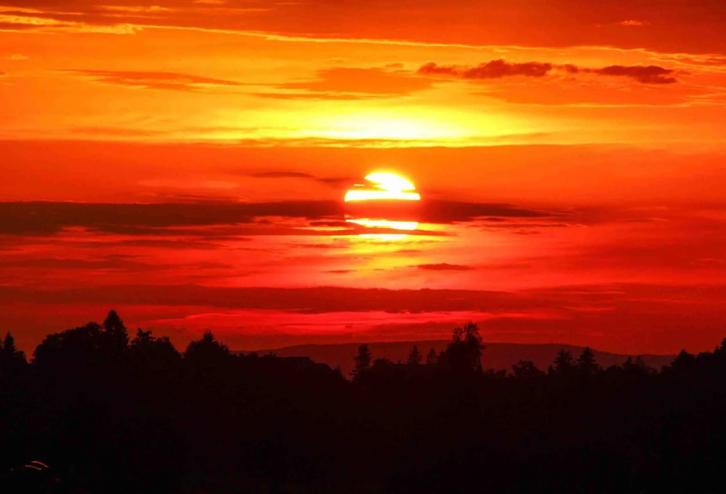 Day in Hotel Allgäu Garni