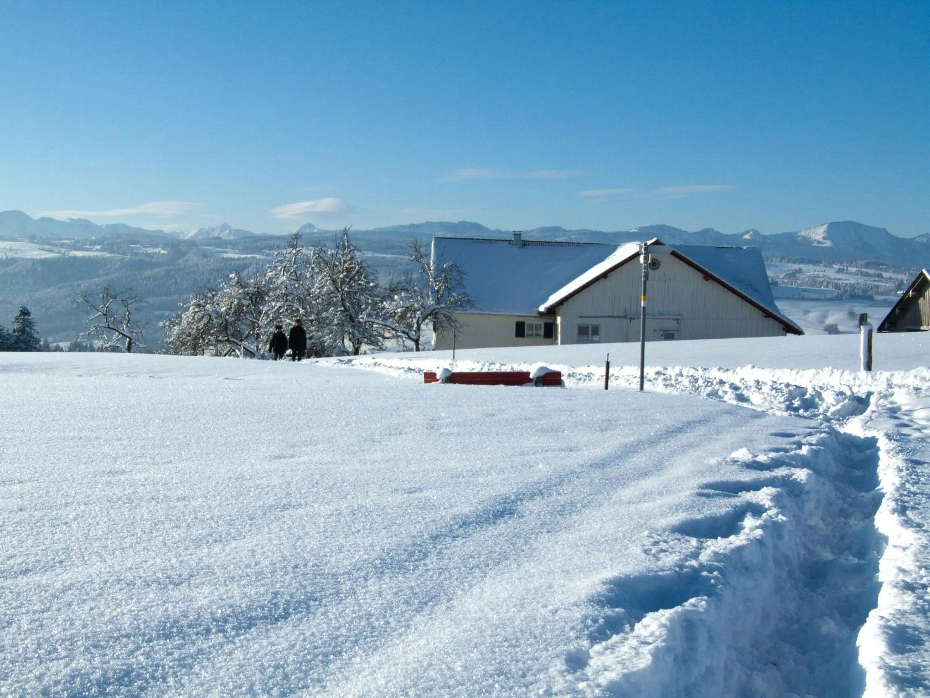 Natural landscape in Hotel Allgäu Garni