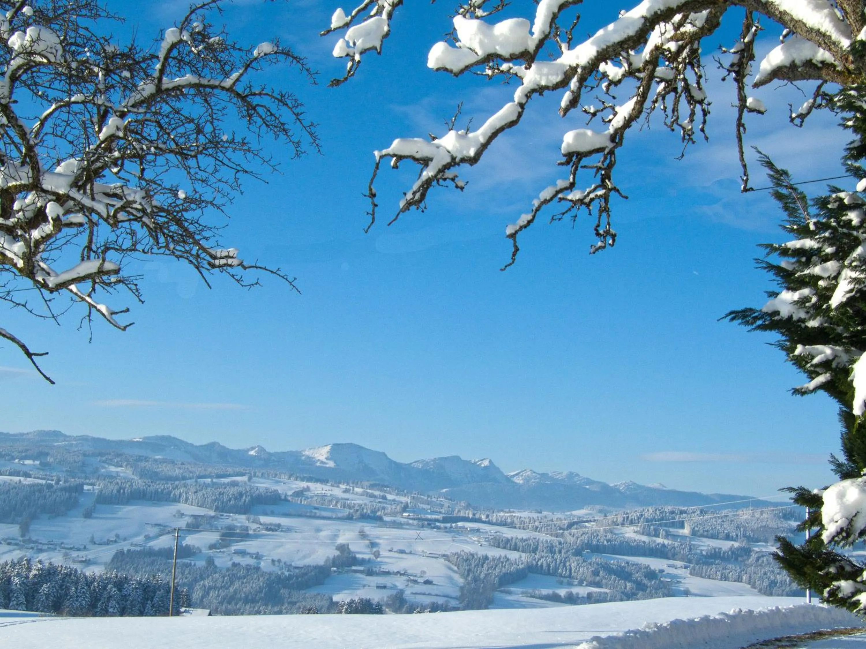 Natural landscape in Hotel Allgäu Garni