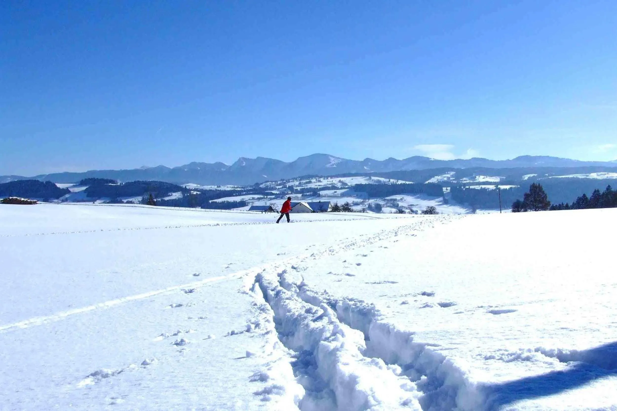 Natural landscape in Hotel Allgäu Garni