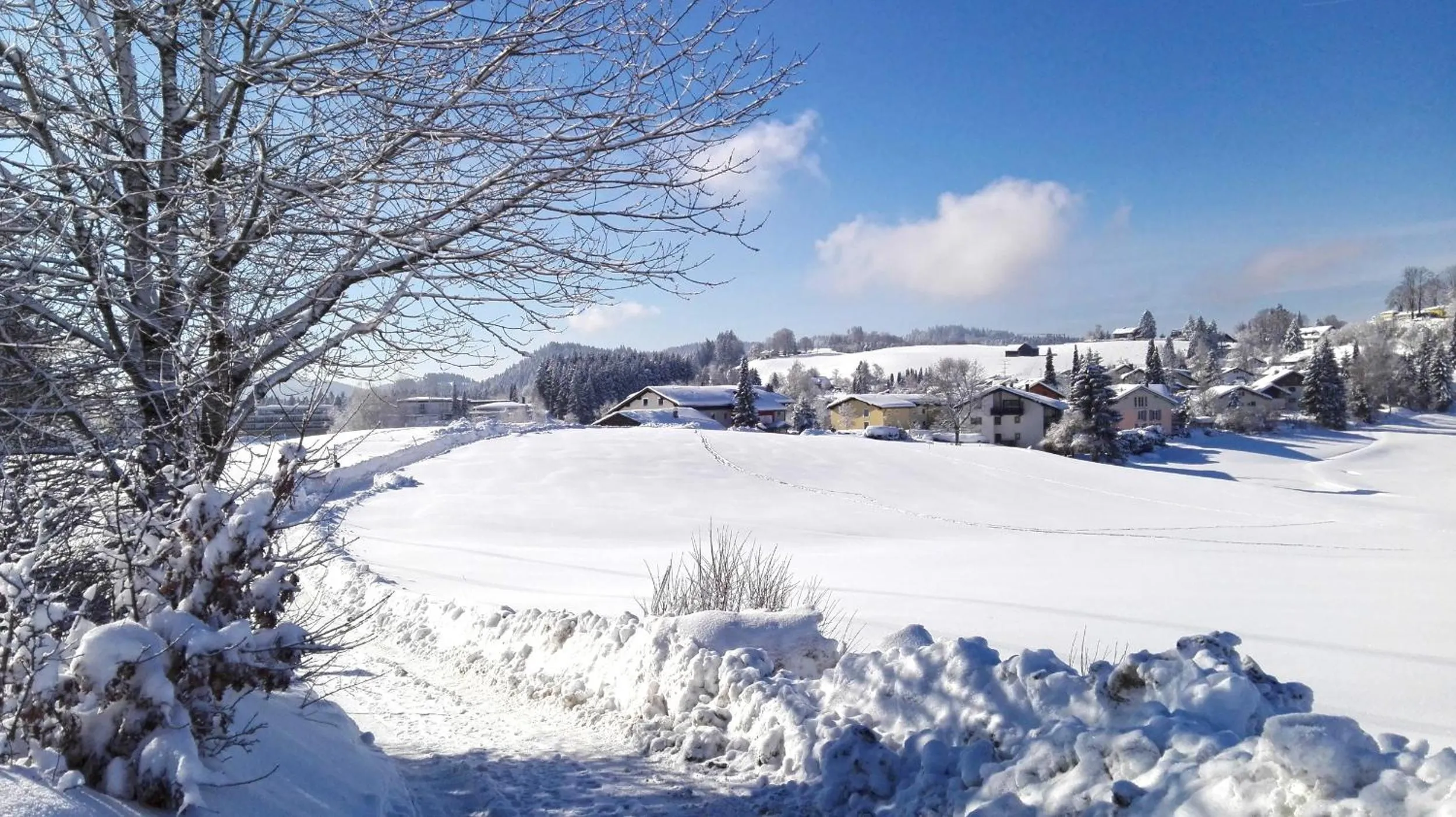 Natural landscape in Hotel Allgäu Garni