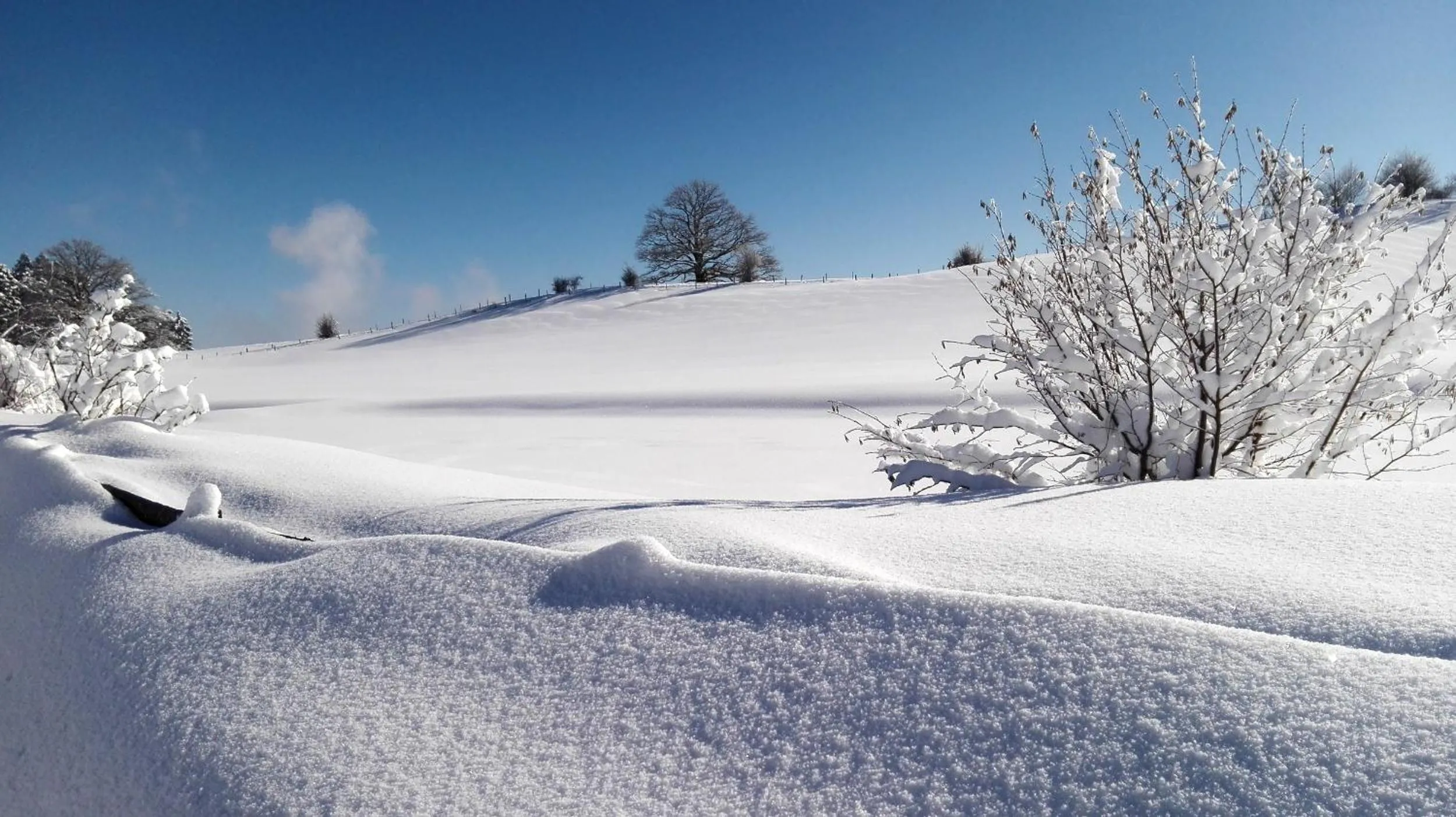 Natural landscape in Hotel Allgäu Garni