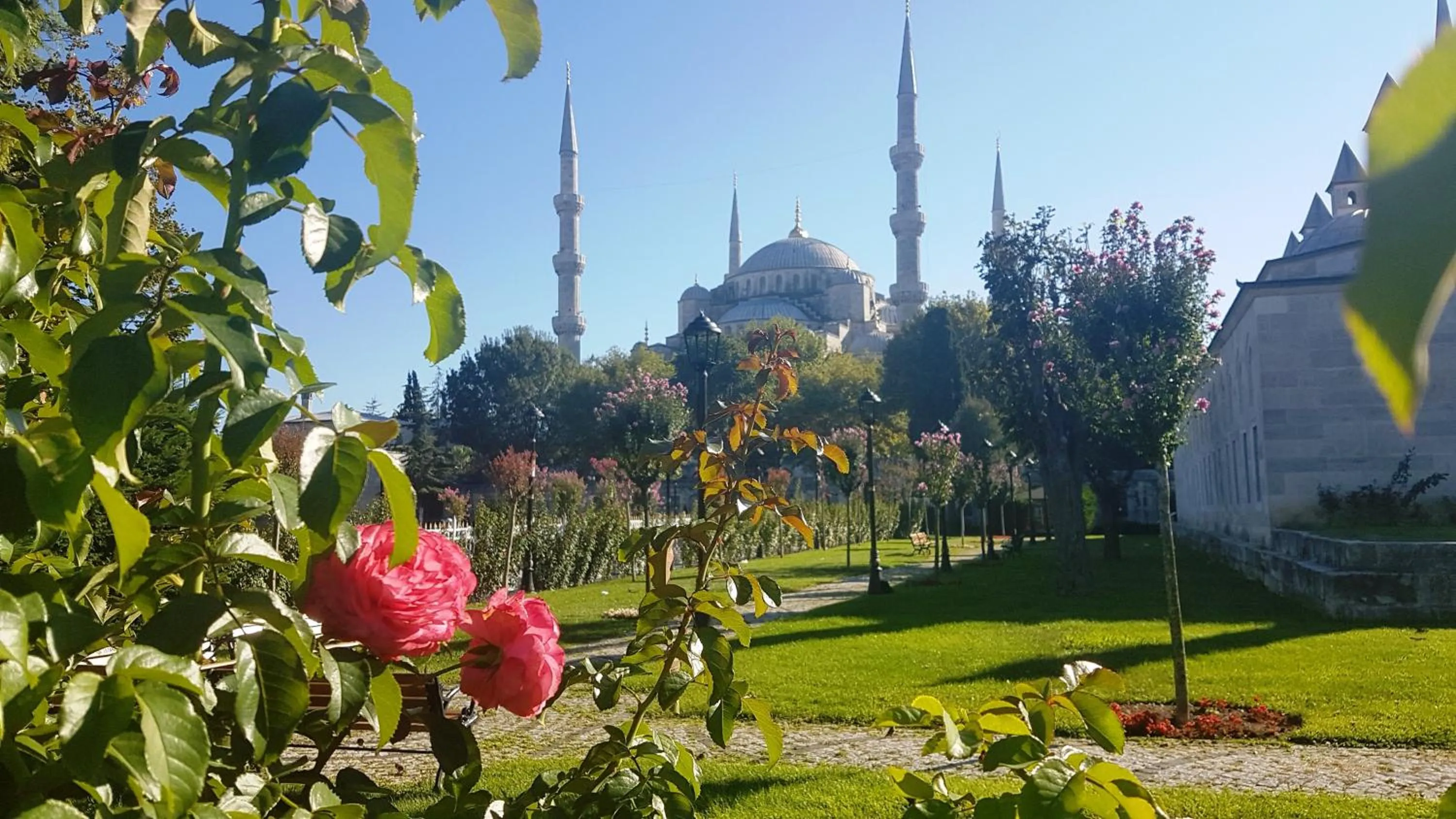 Neighbourhood in Hotel Peninsula