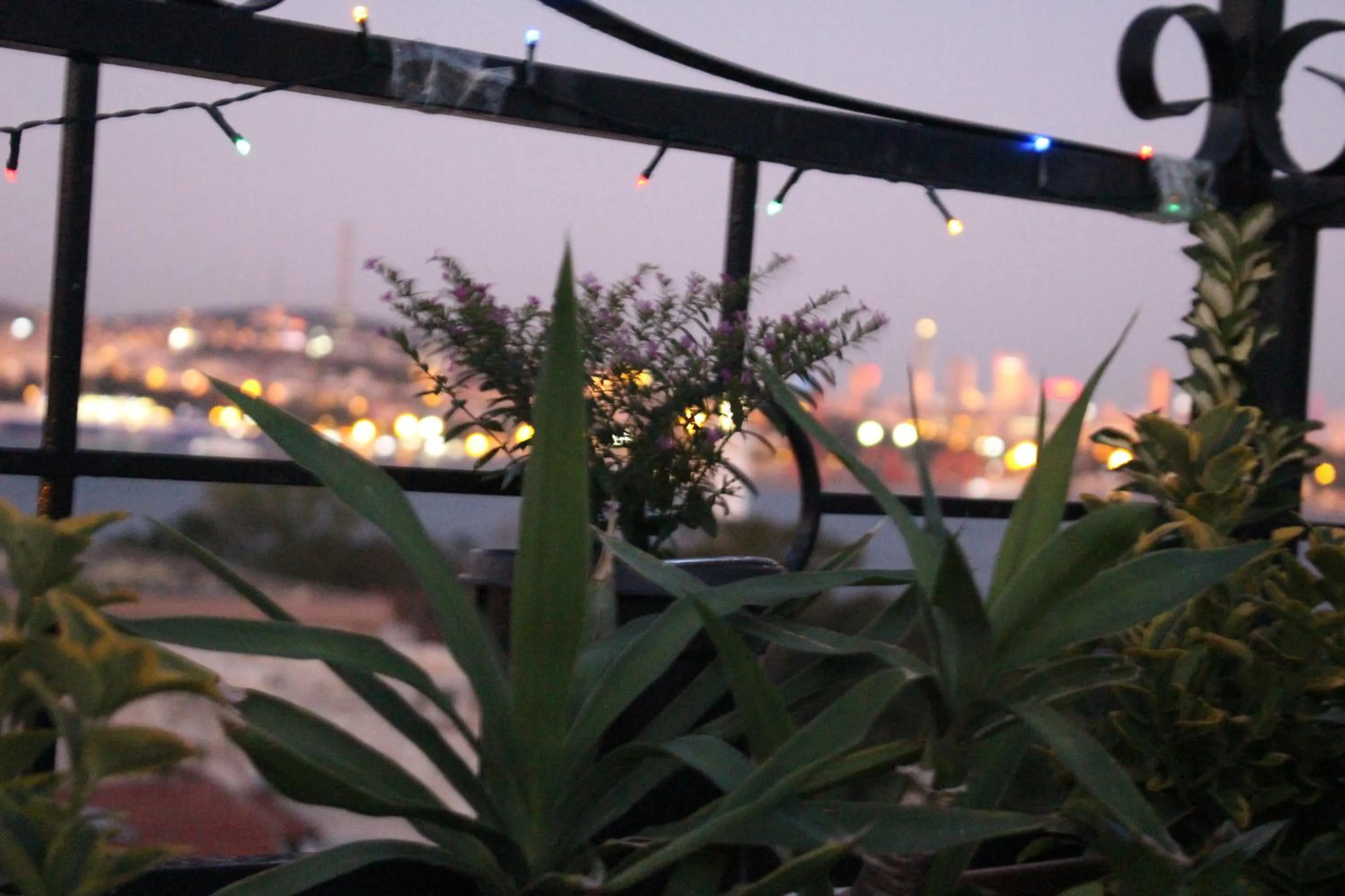 Balcony/Terrace in Hotel Peninsula