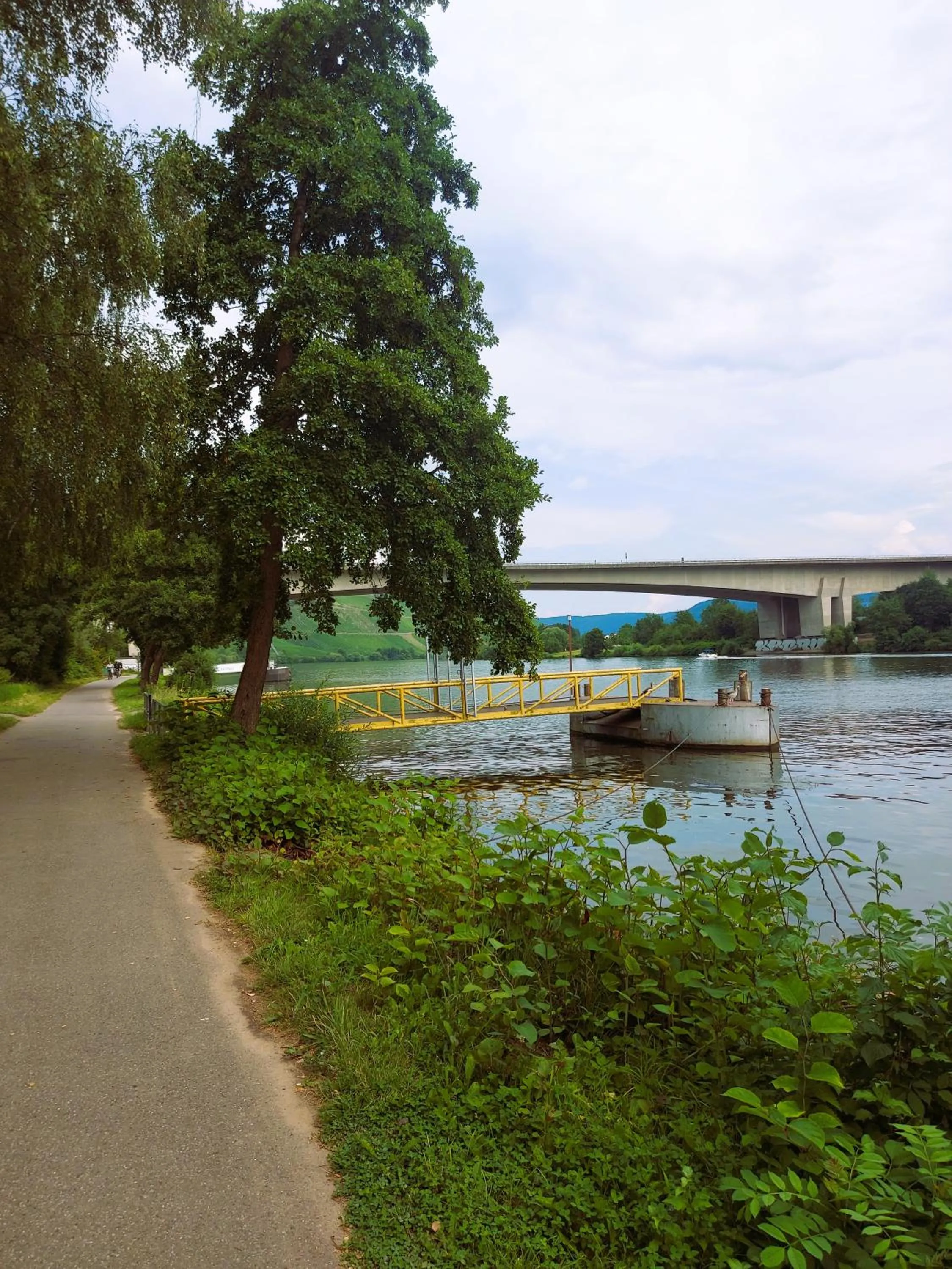 Natural landscape in Hotel zur Moselbrücke