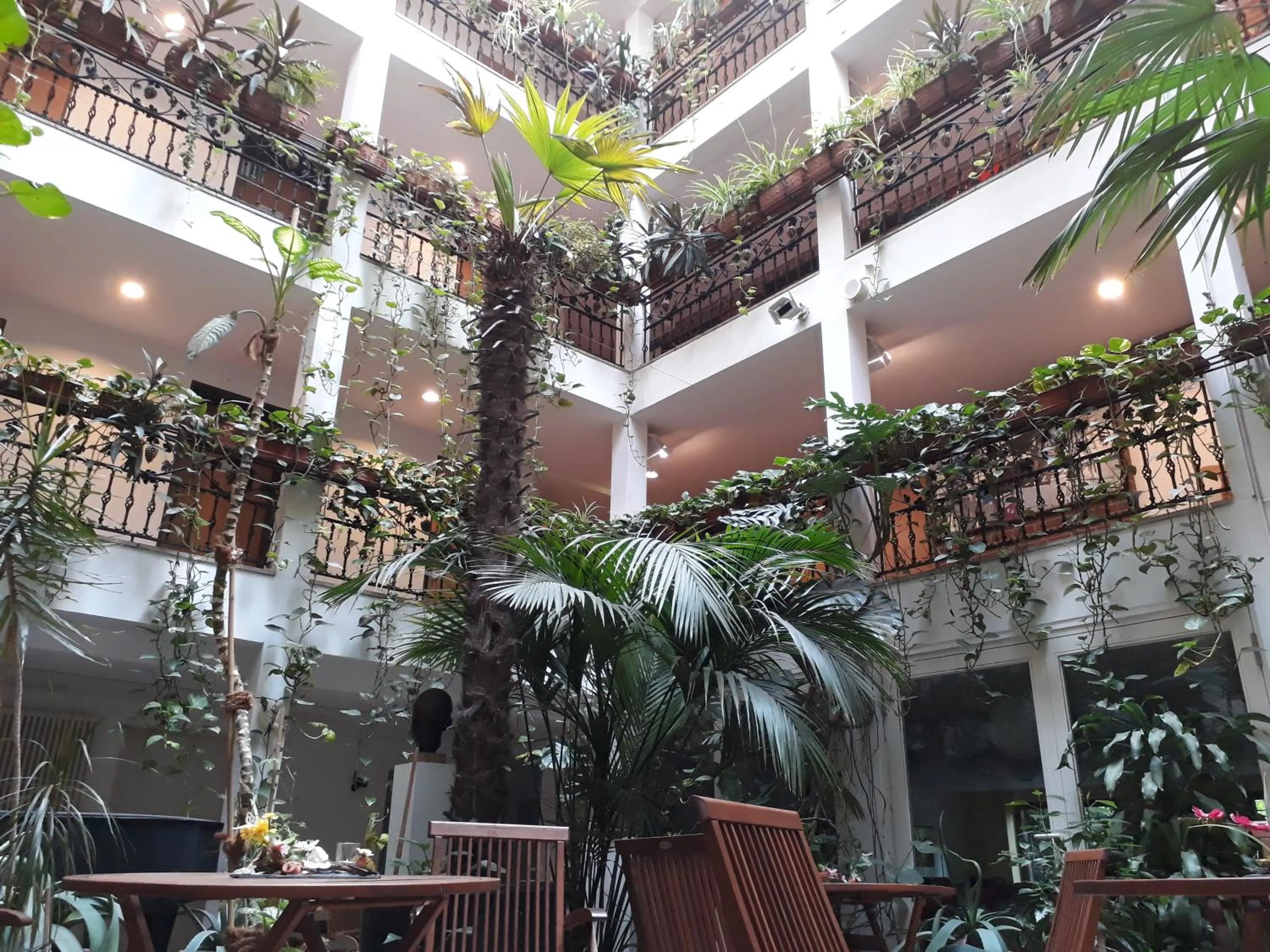 Property building in Solitaire Hotel