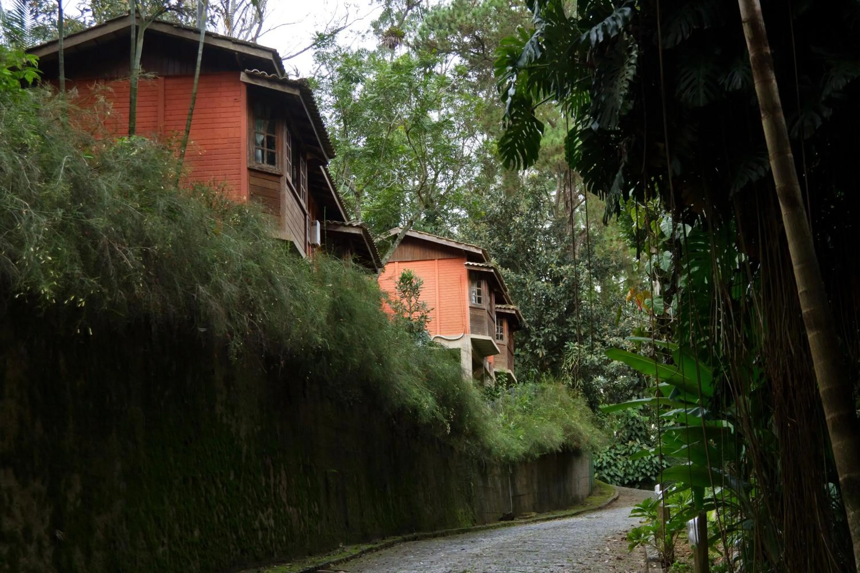Natural landscape in POUSADA APOEMA PETRÓPOLIS-Rj