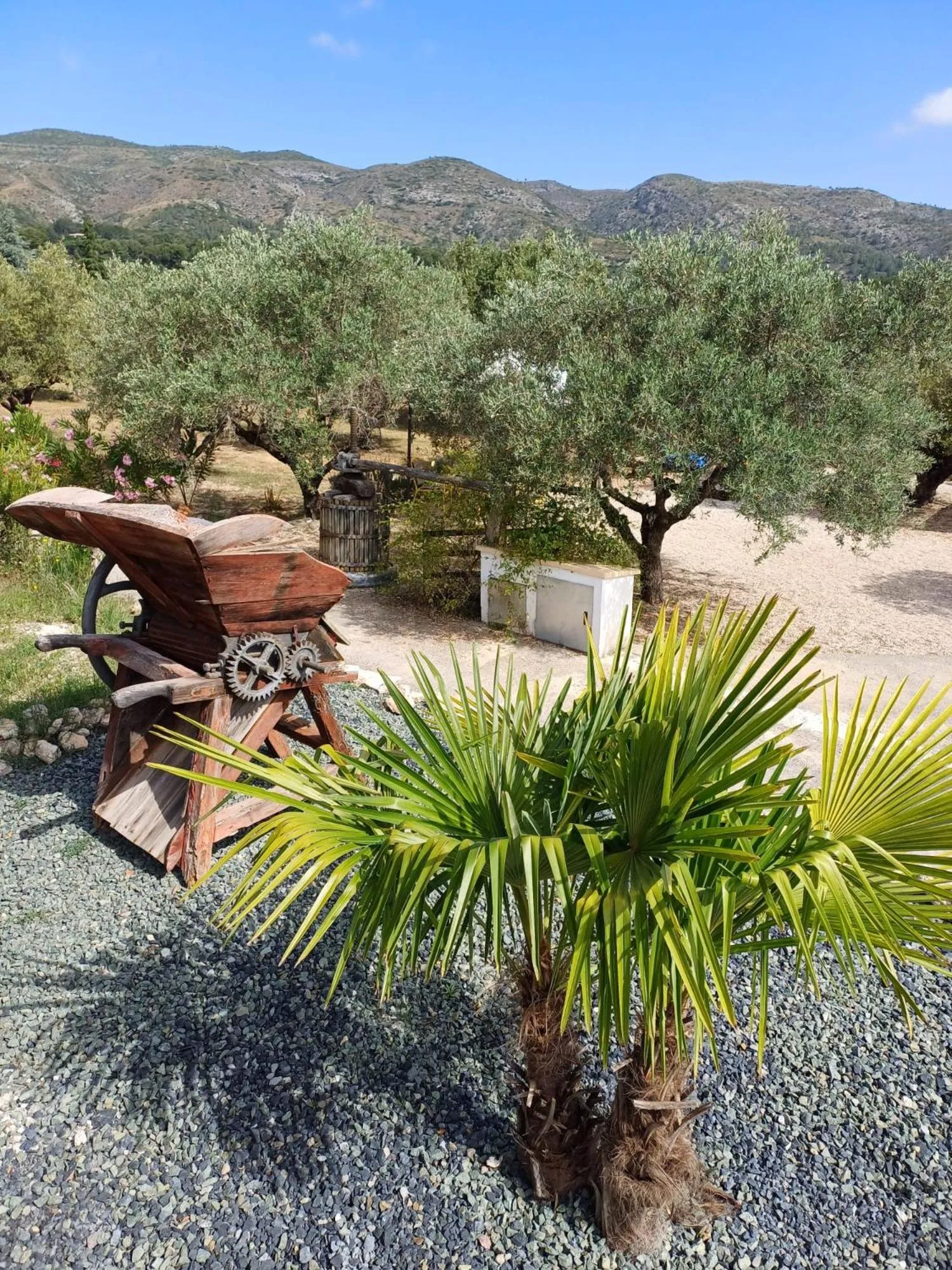 Garden view in B&B Casa Vitalidad