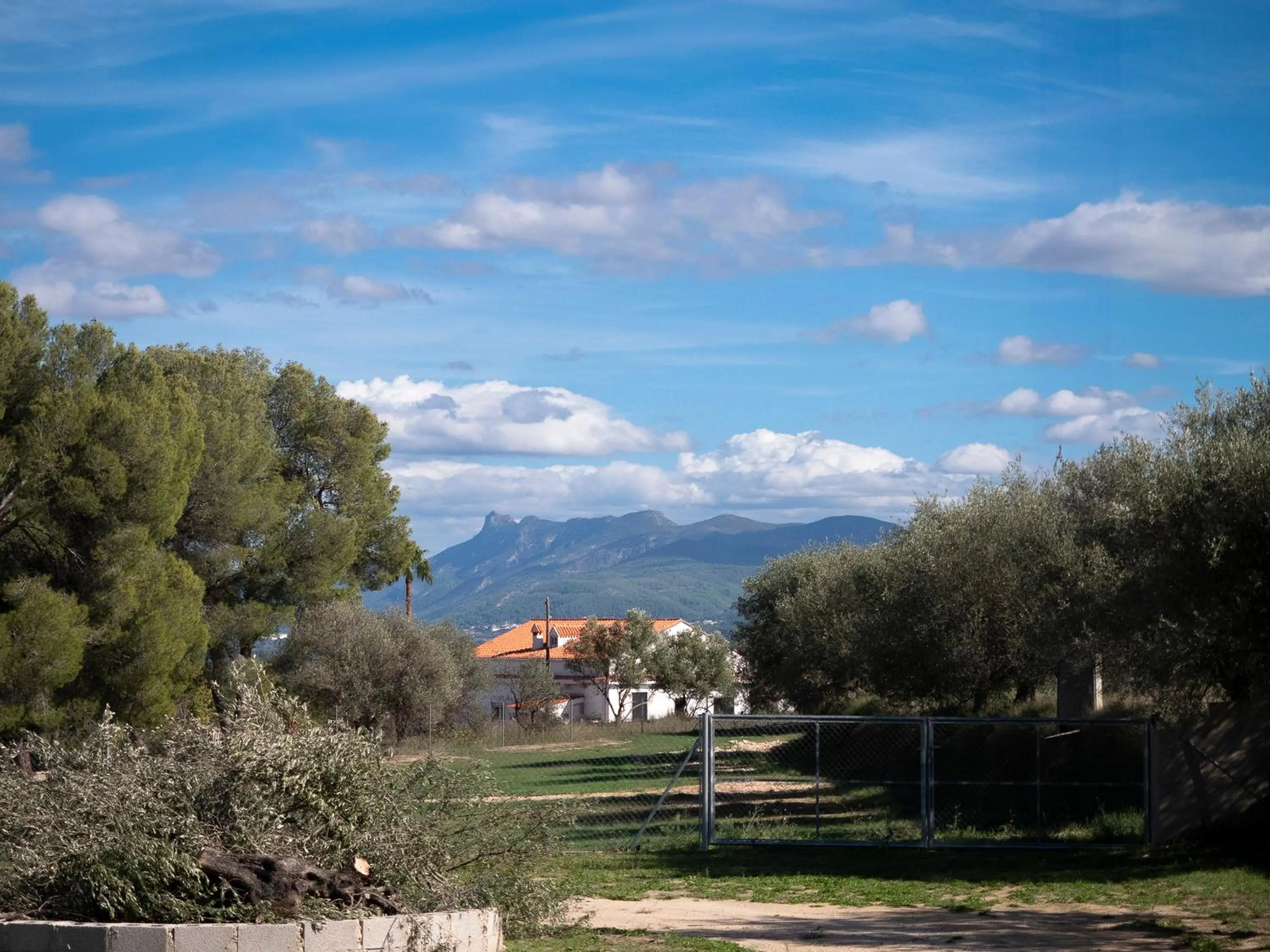 View (from property/room) in B&B Casa Vitalidad