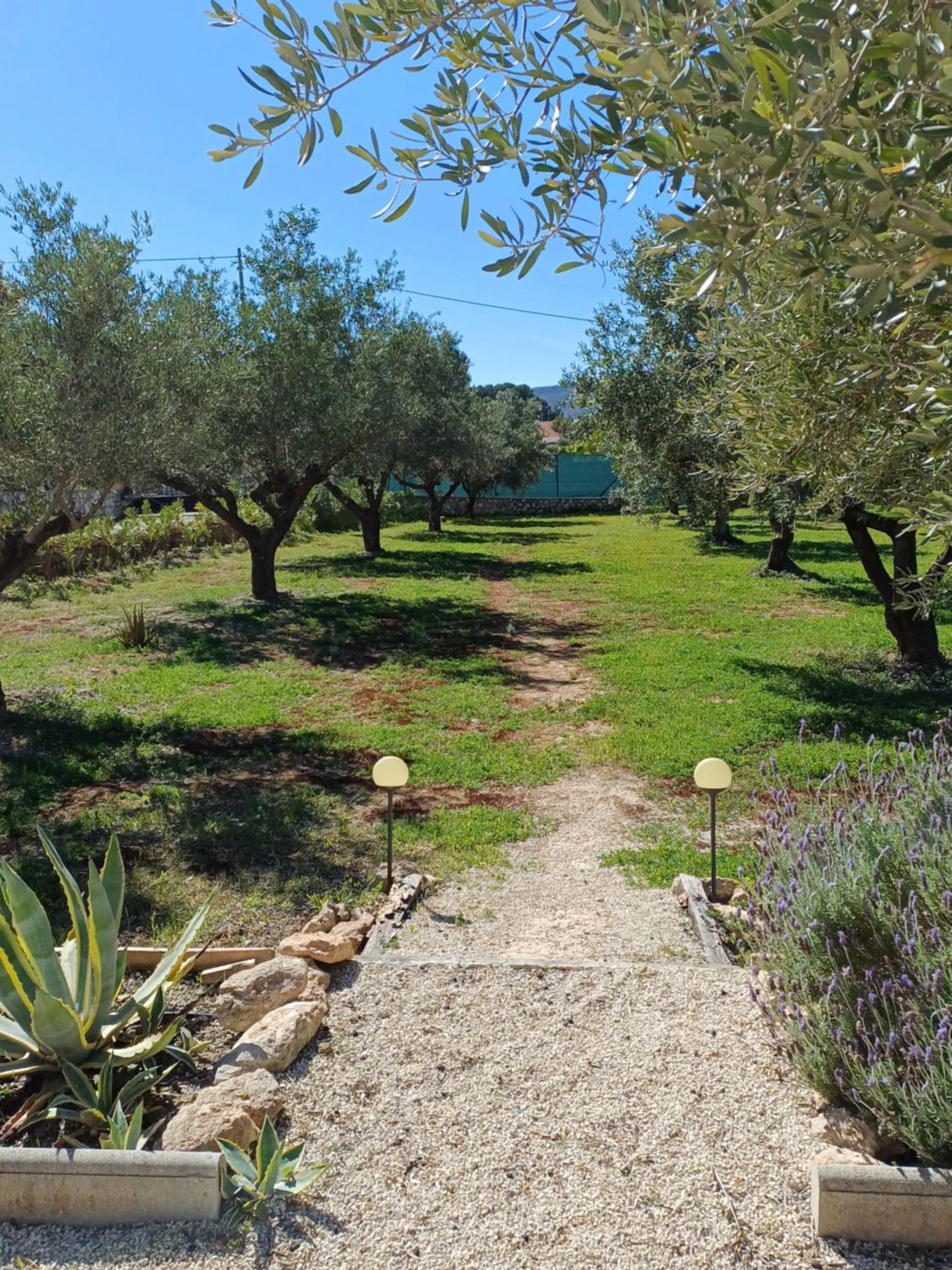 Garden in B&B Casa Vitalidad