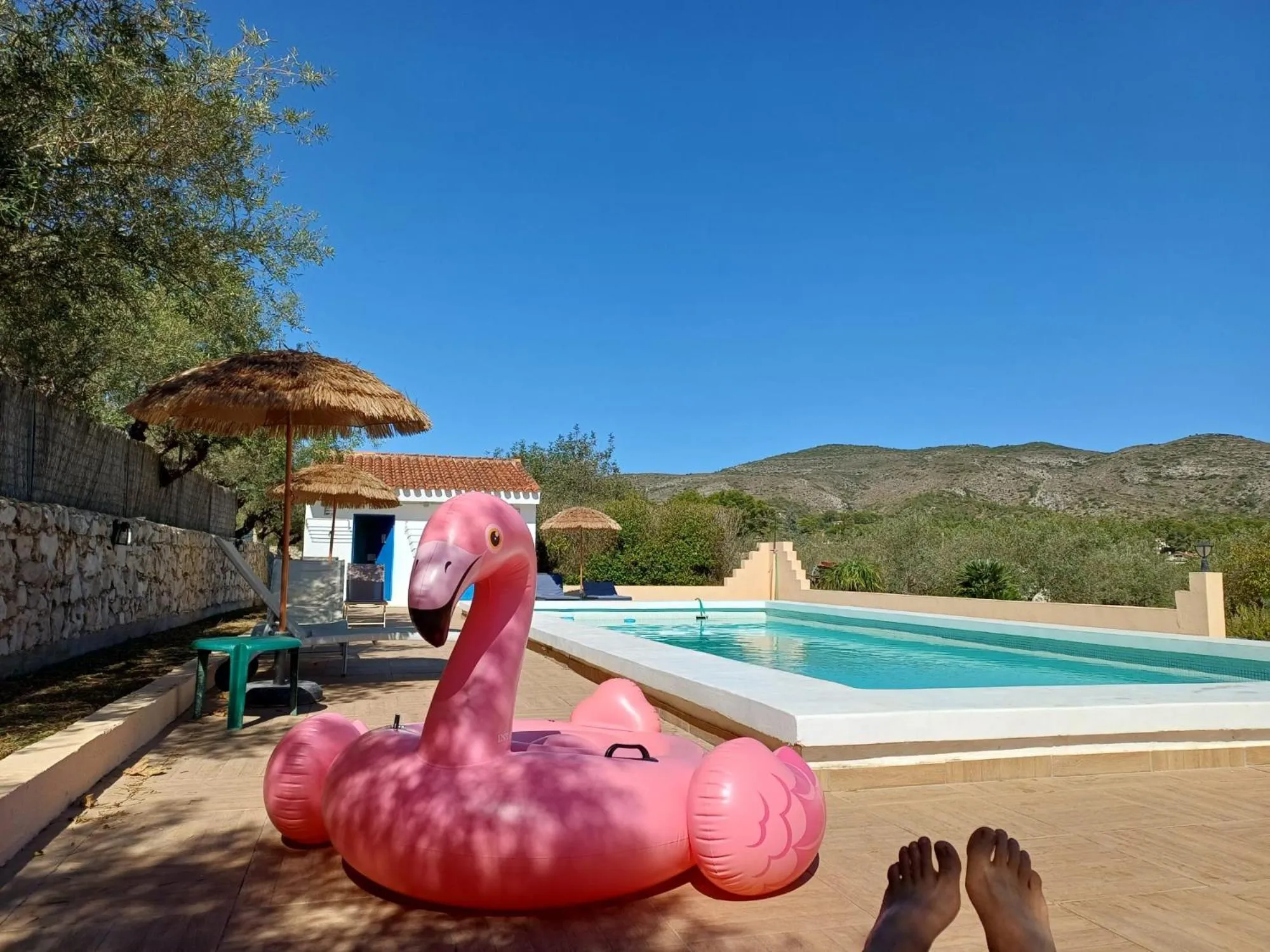 Pool view in B&B Casa Vitalidad