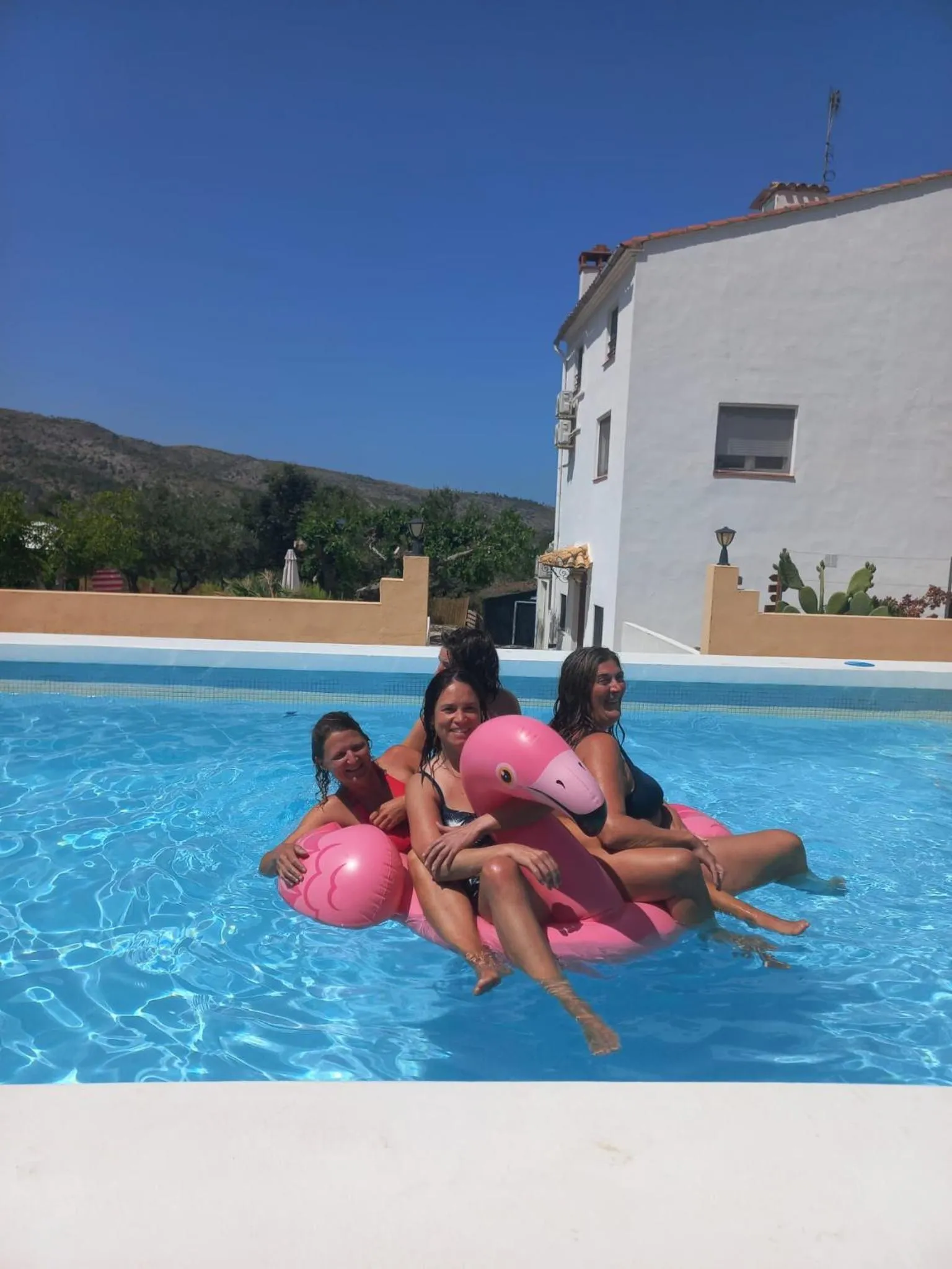 Swimming pool in B&B Casa Vitalidad