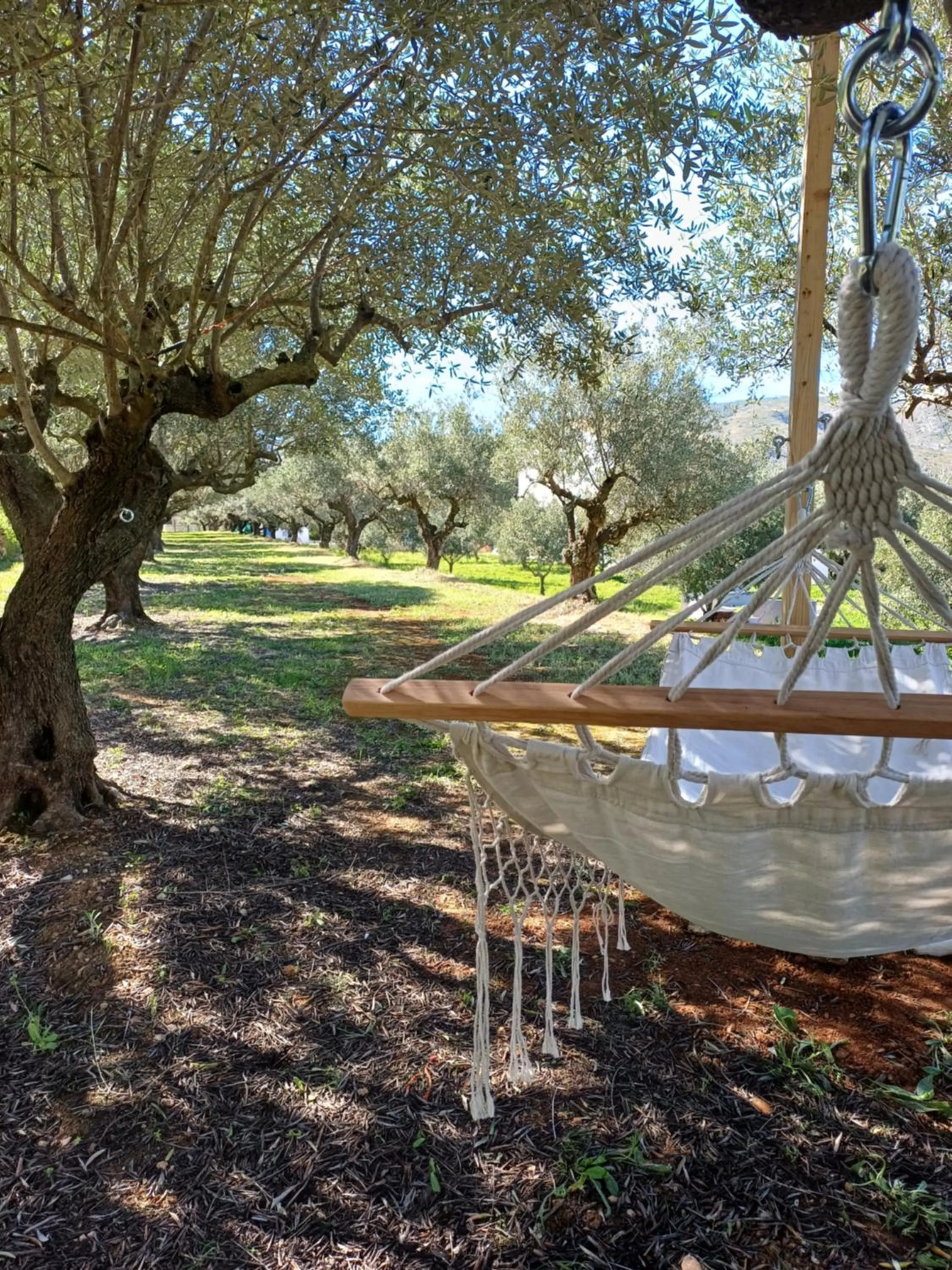 Garden in B&B Casa Vitalidad