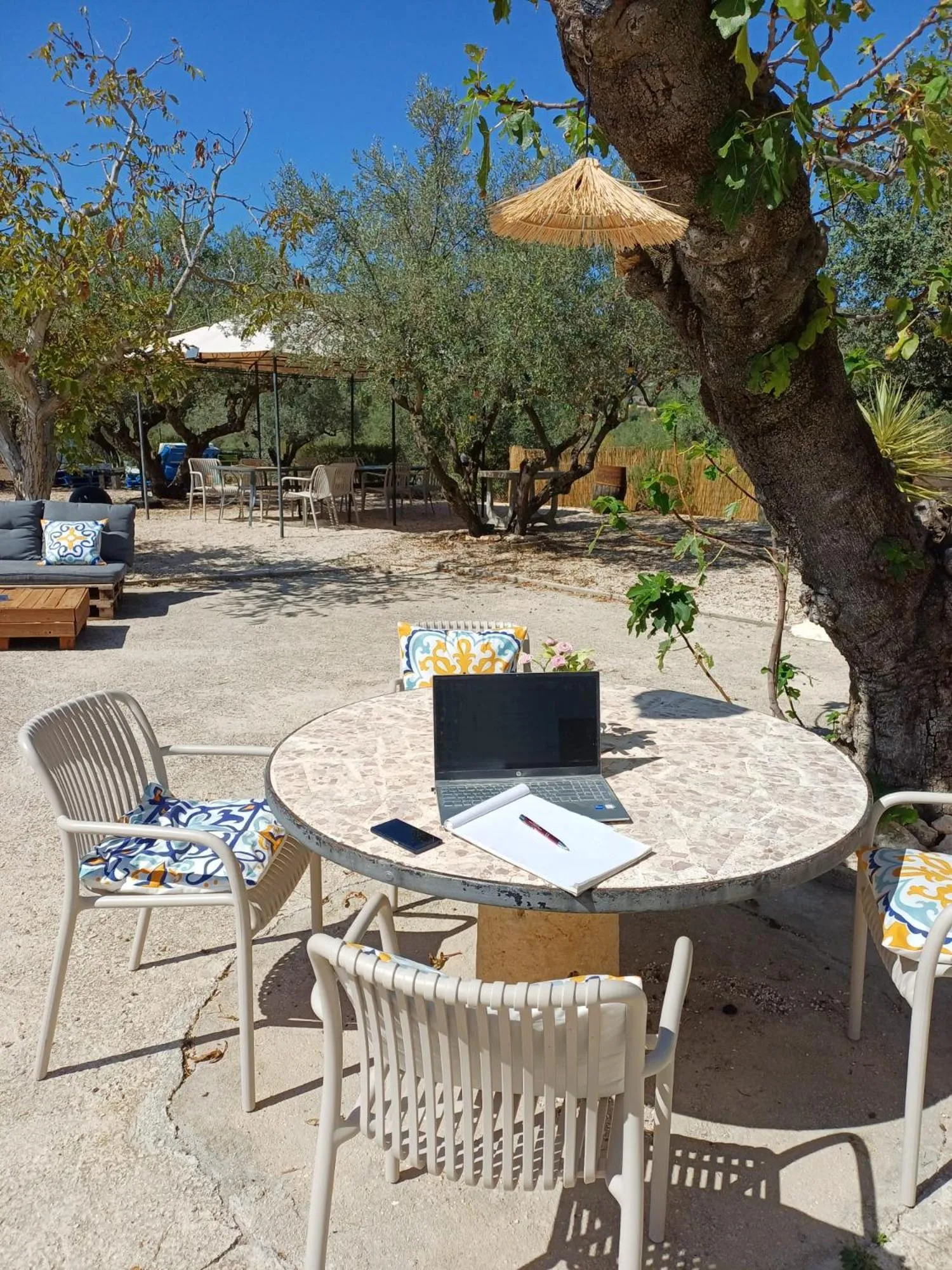 Garden in B&B Casa Vitalidad