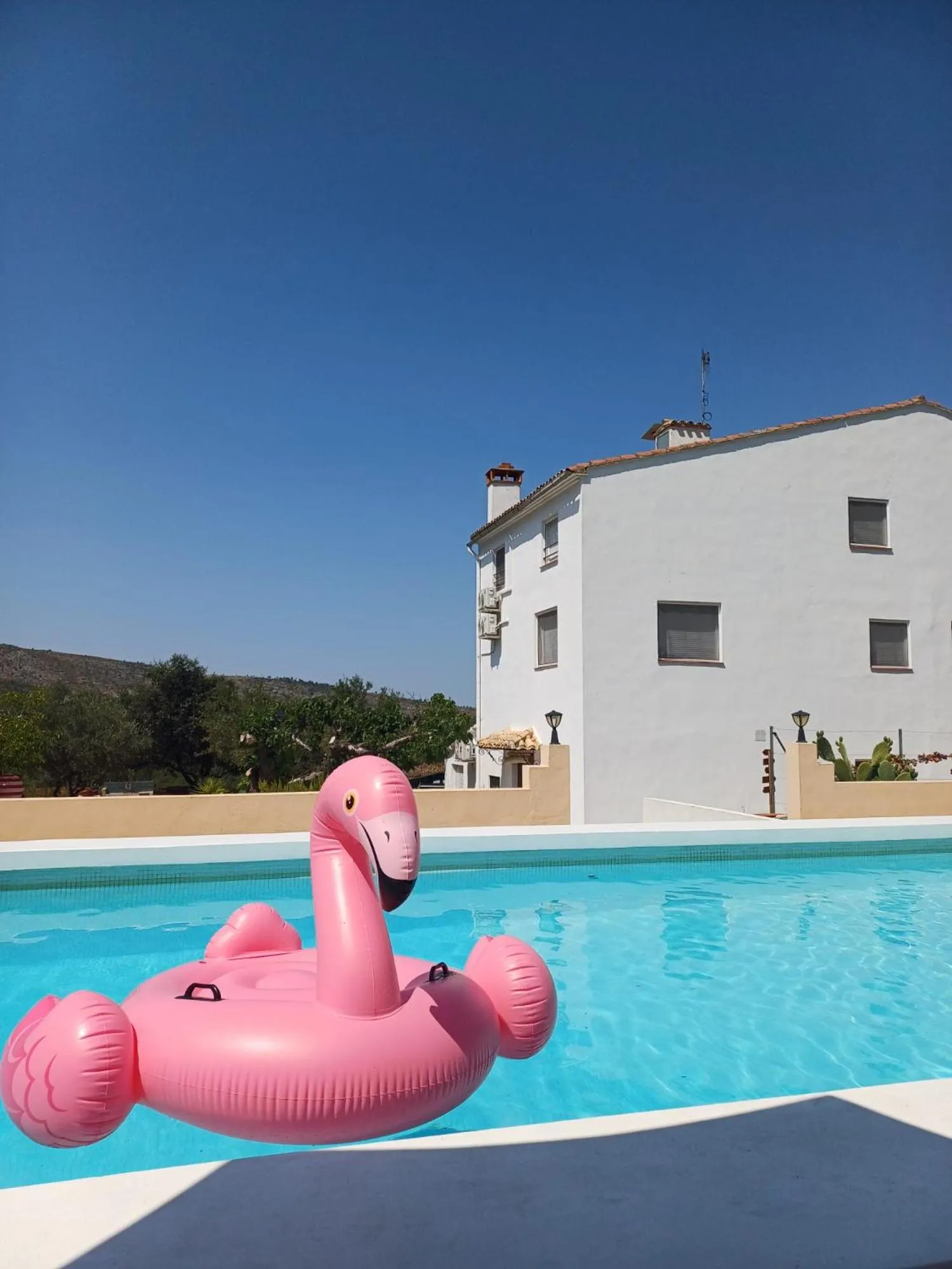 Swimming pool in B&B Casa Vitalidad