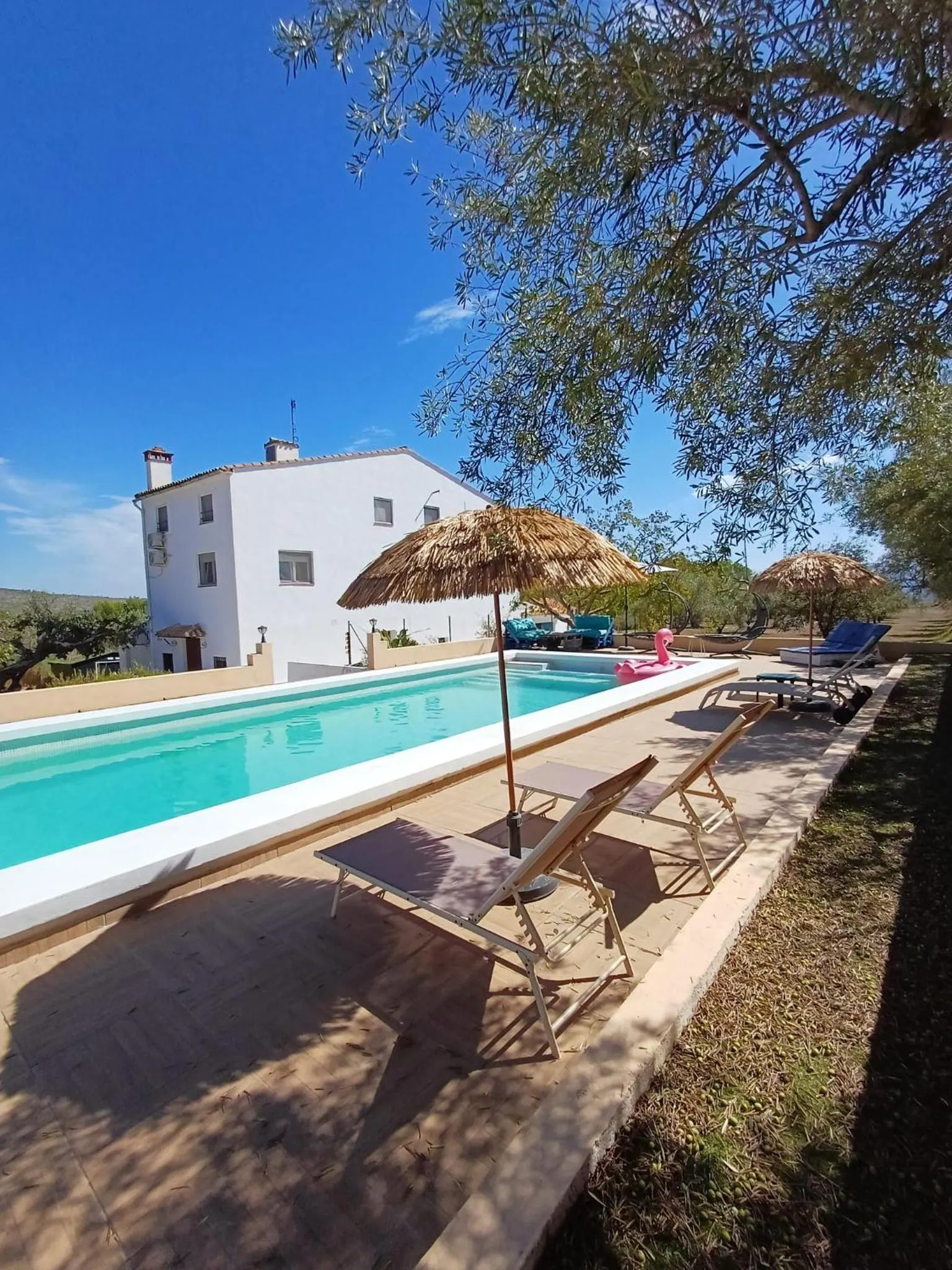 Pool view in B&B Casa Vitalidad