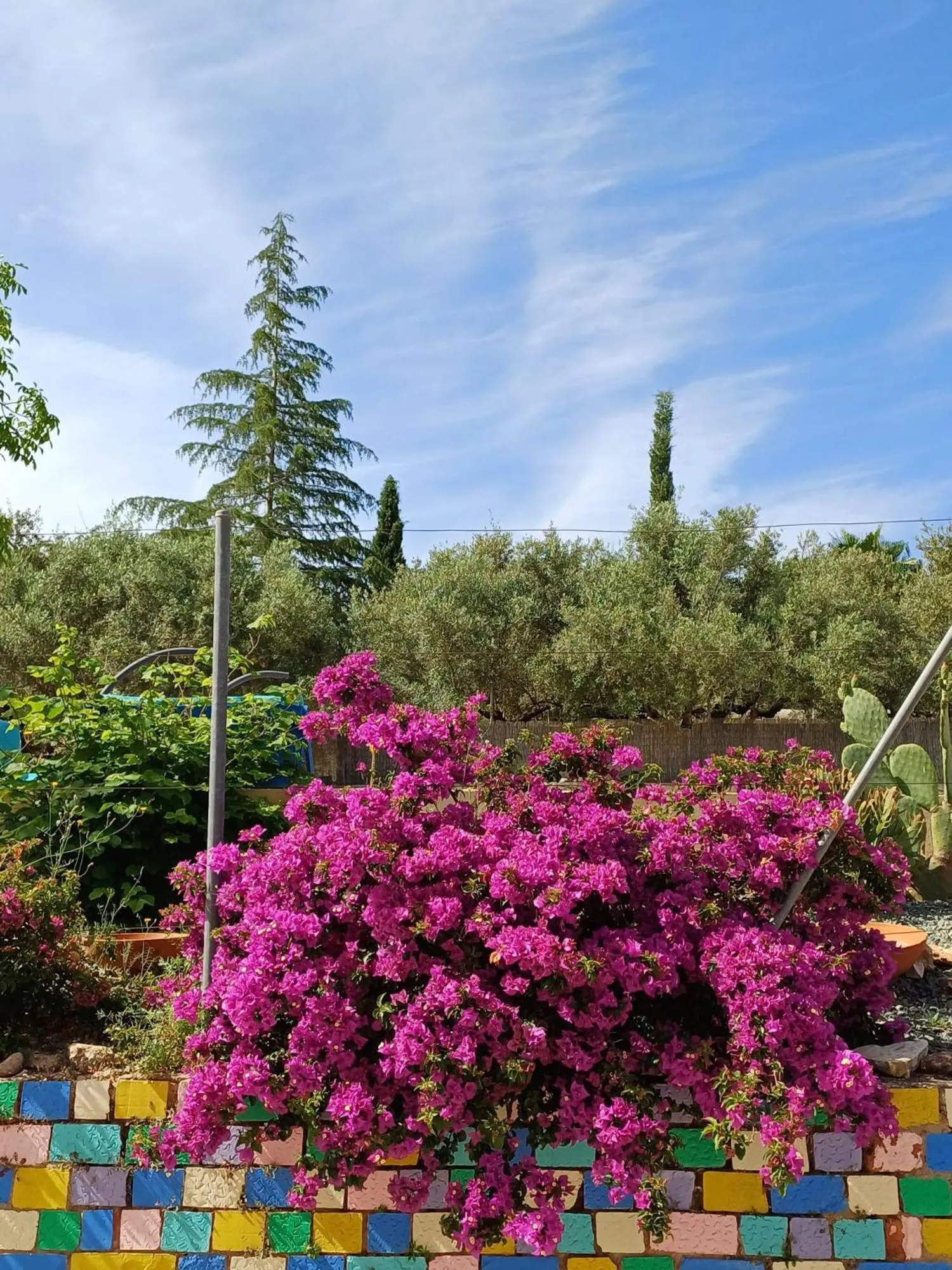Garden view in B&B Casa Vitalidad