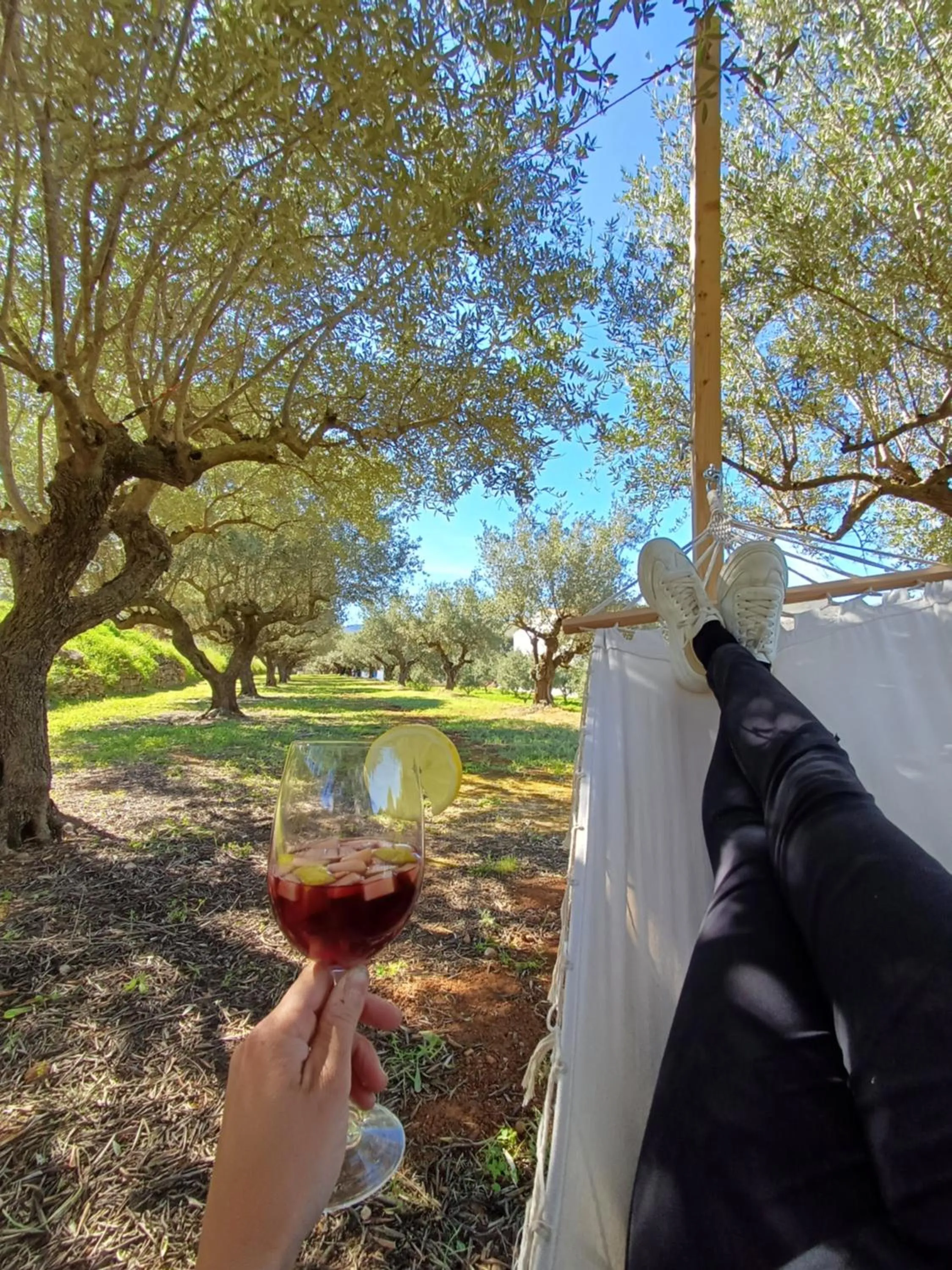 Garden in B&B Casa Vitalidad