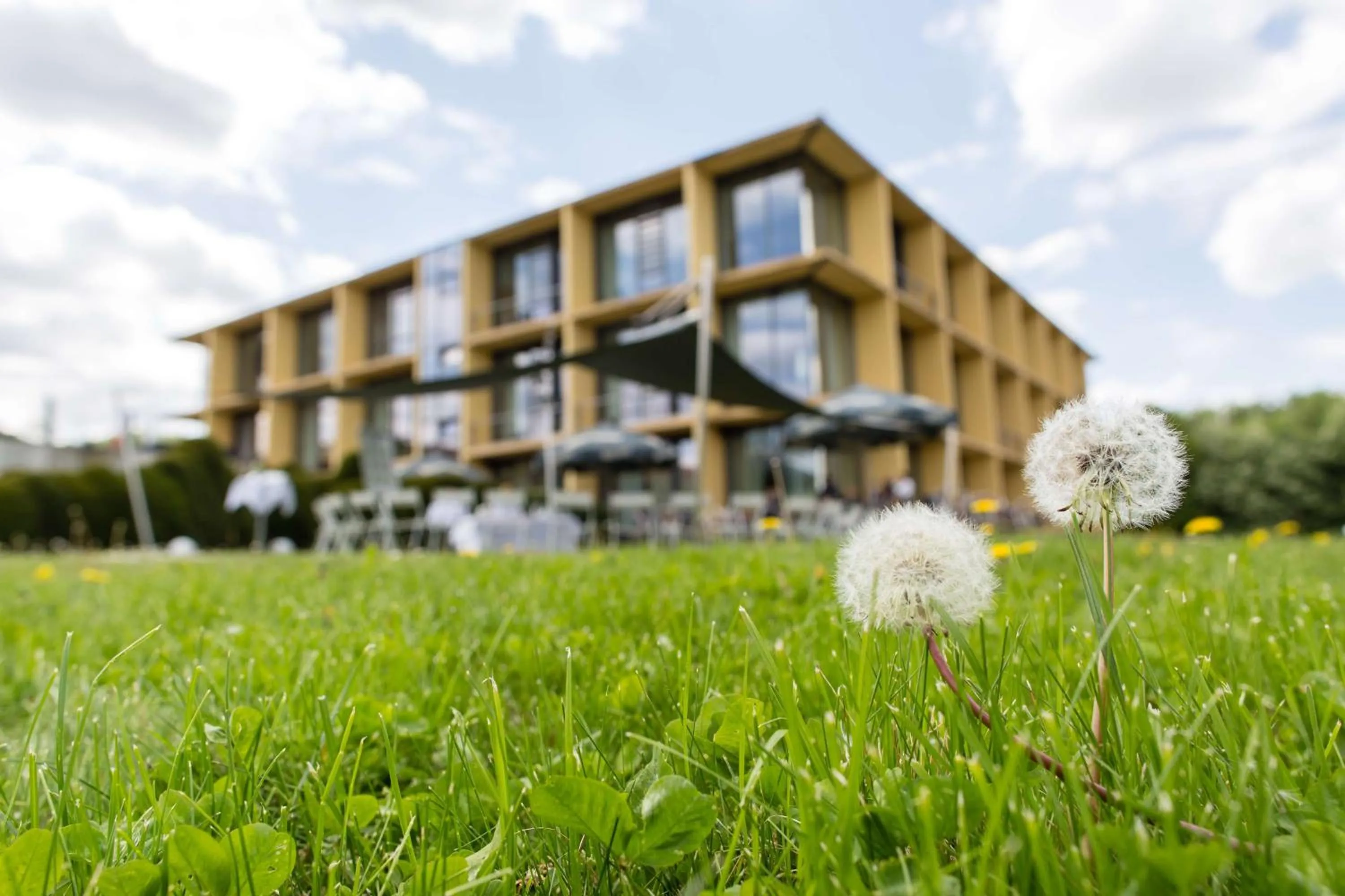 Property building in rugs Hotel am Schlosspark Lichtenwalde