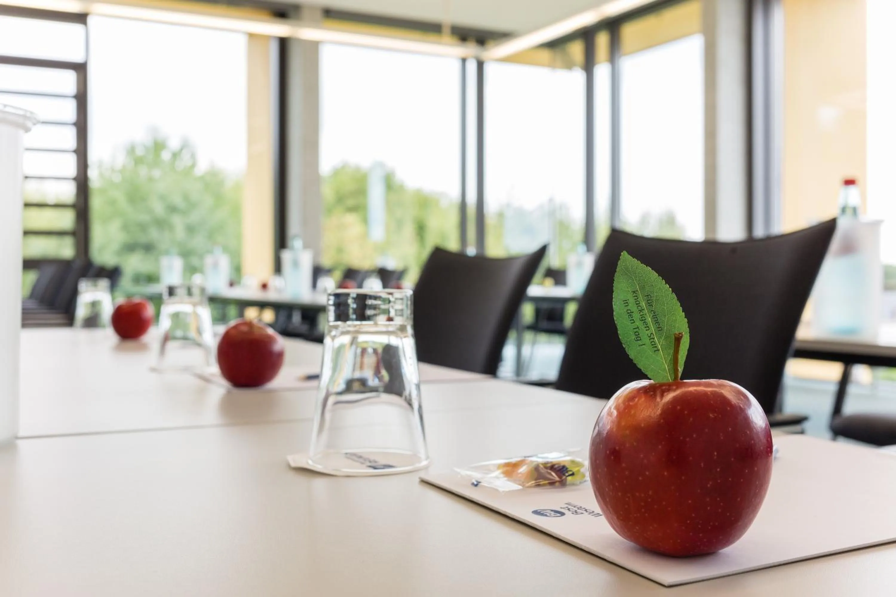 Banquet/Function facilities in rugs Hotel am Schlosspark Lichtenwalde