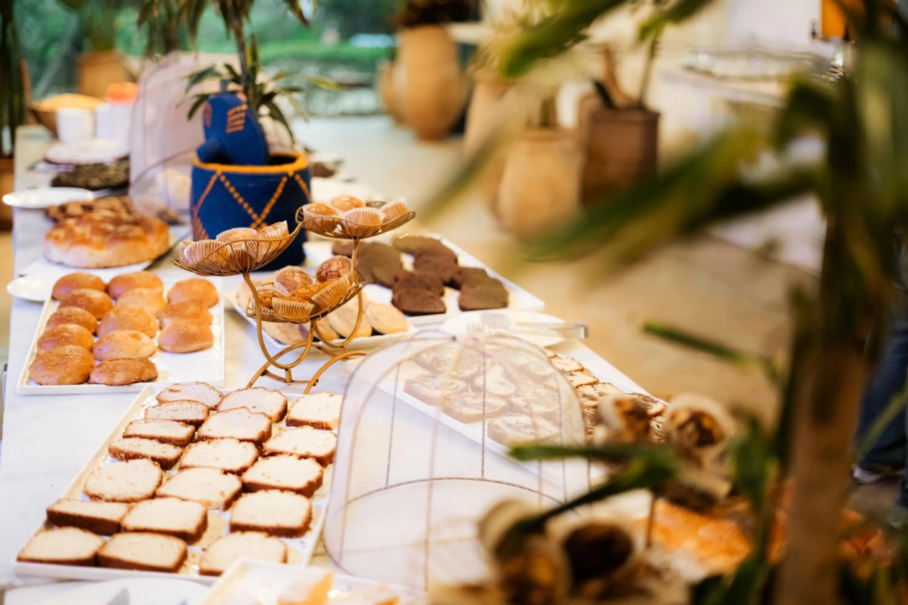 Breakfast in Dakhla Attitude