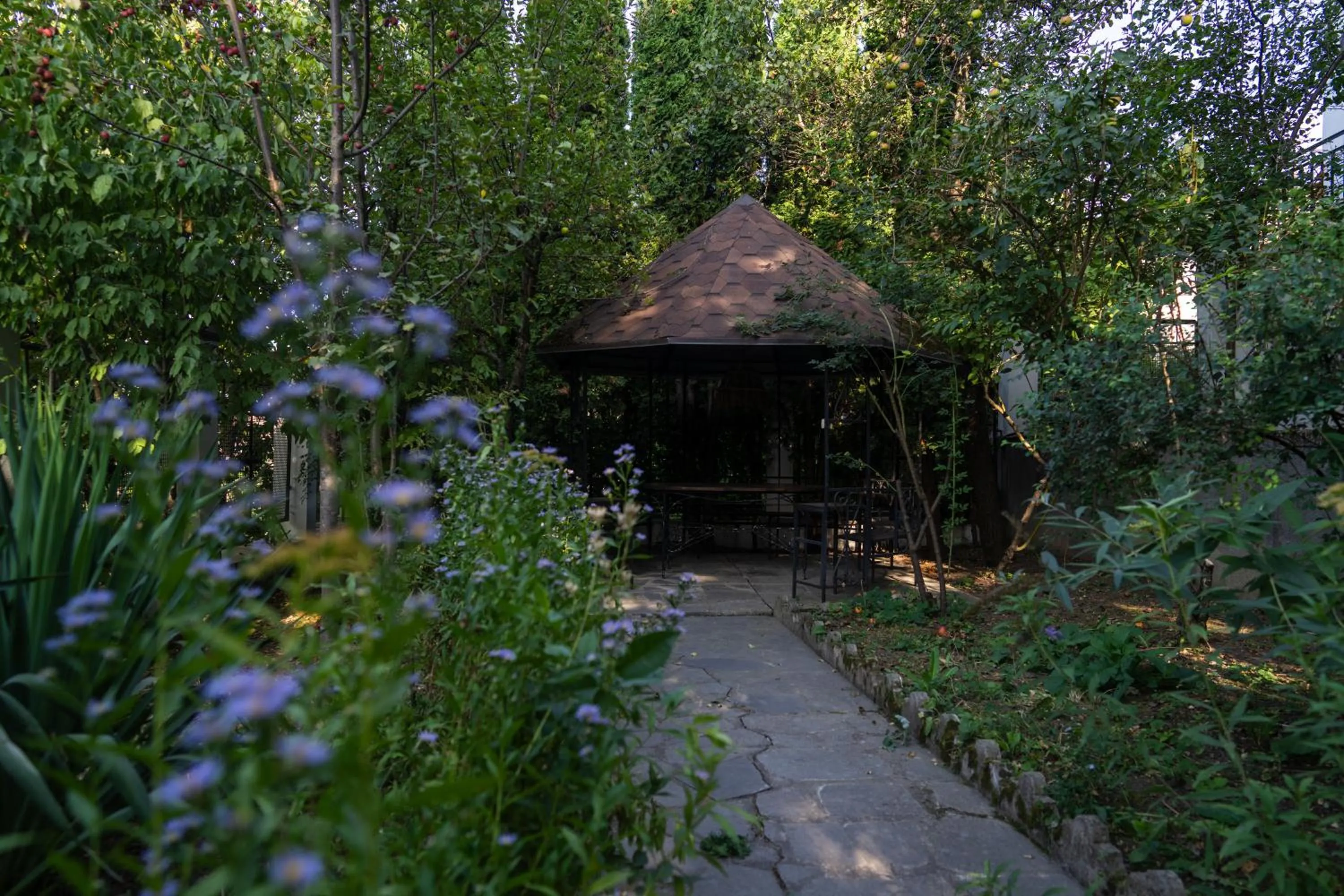 Garden in Casanova Inn - Boutique Hotel