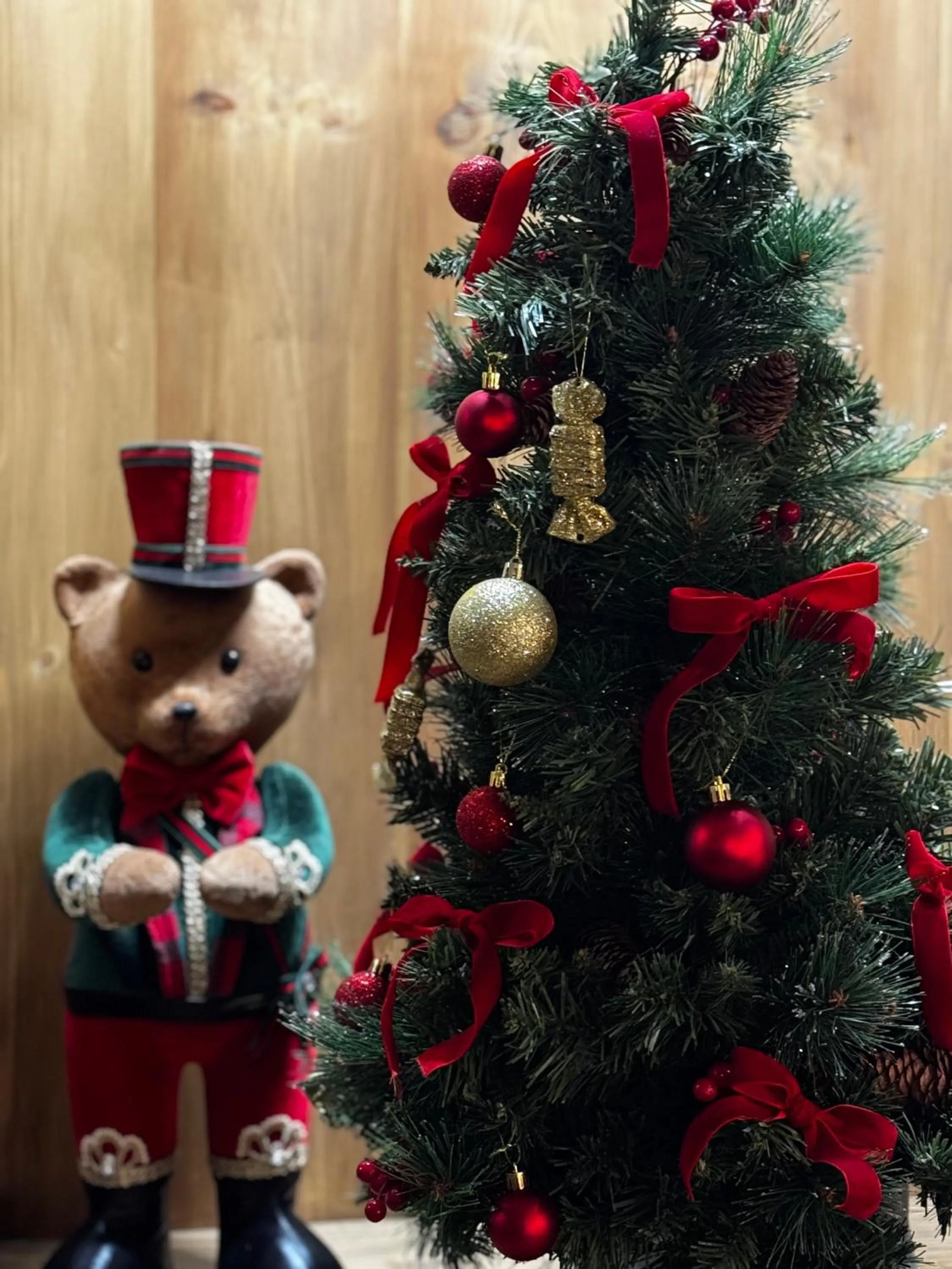 Restaurant/places to eat in Casanova Inn - Boutique Hotel