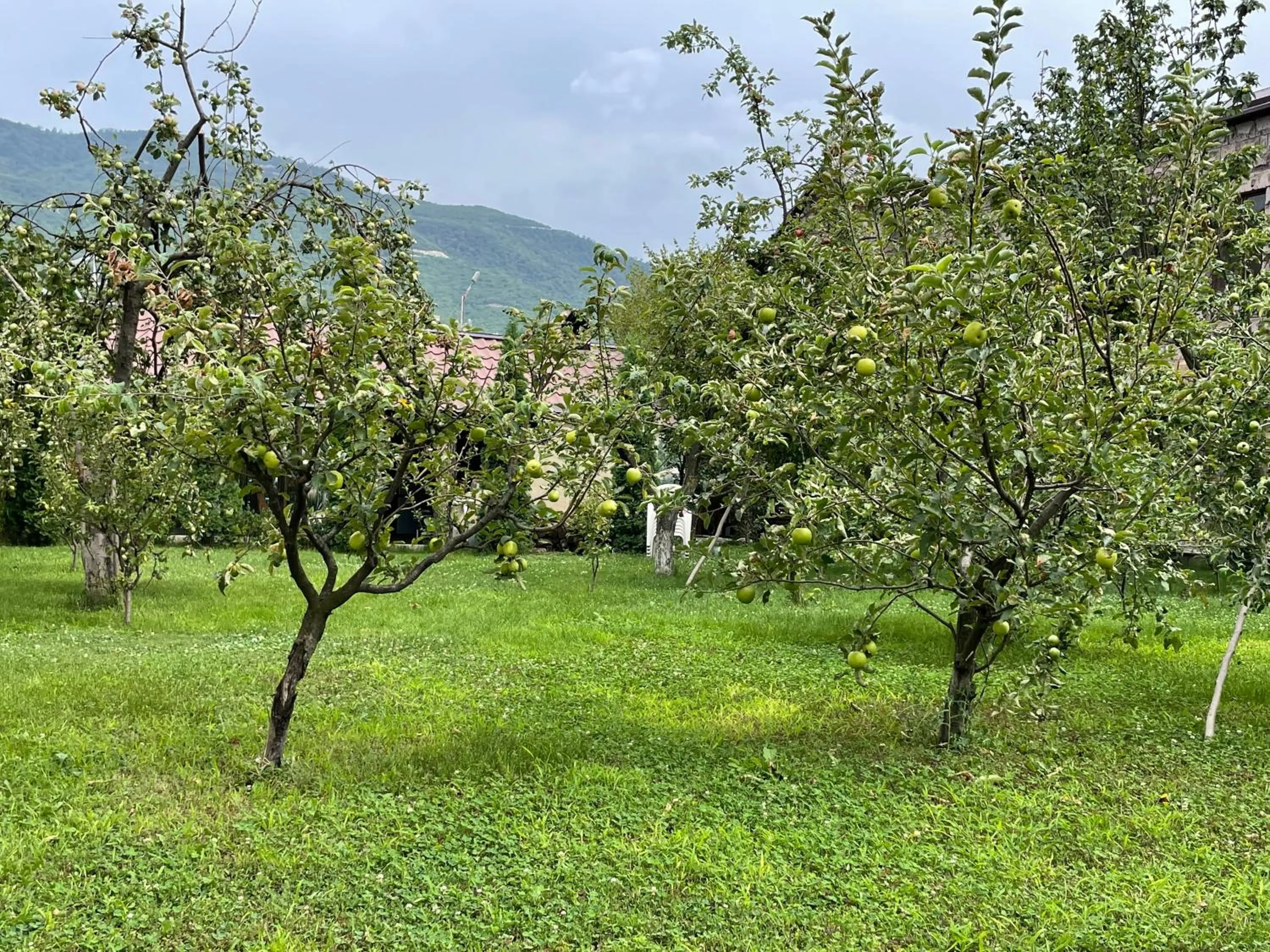 Natural landscape in Kamar Hotel Ijevan