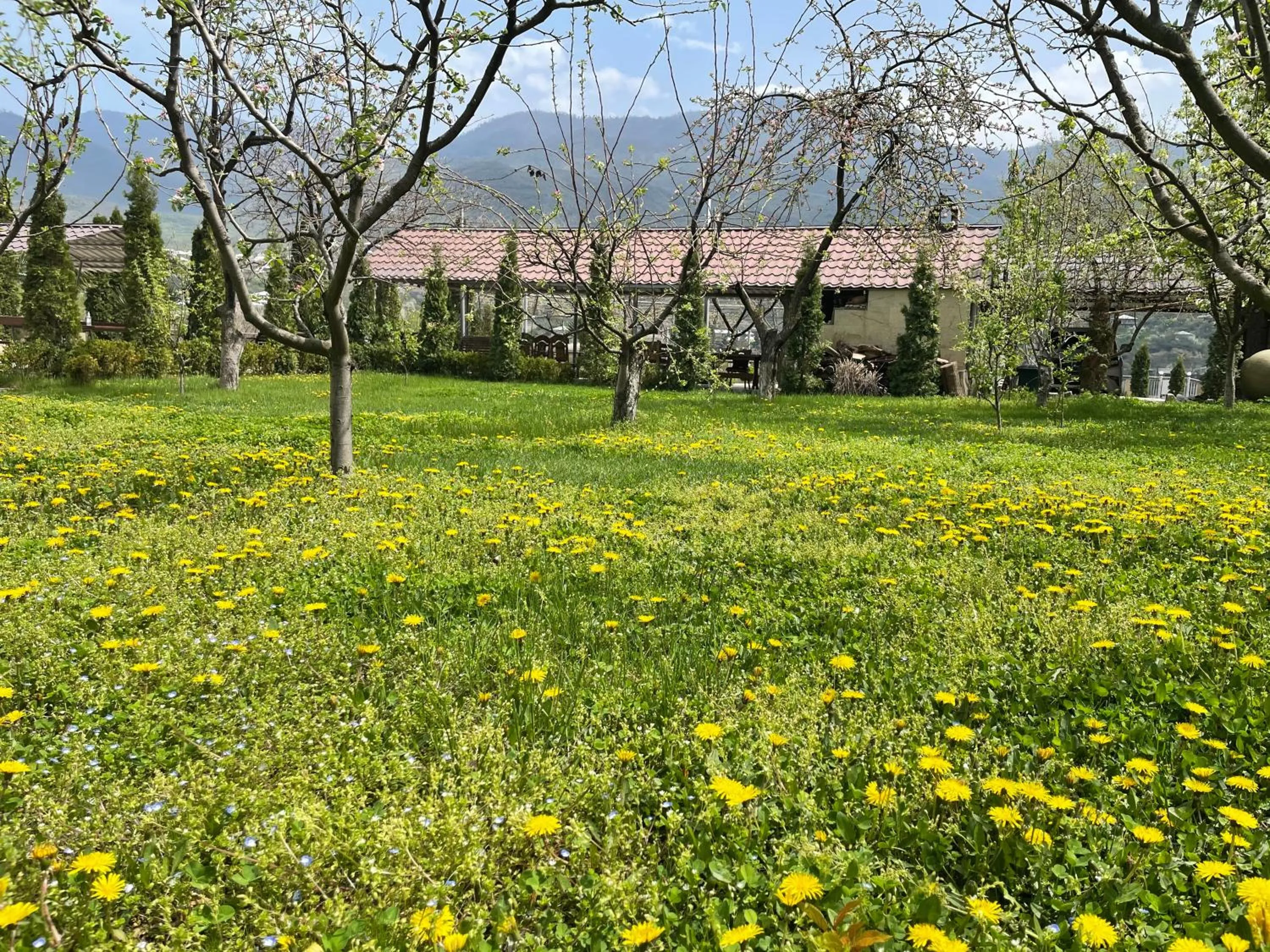 Garden in Kamar Hotel Ijevan