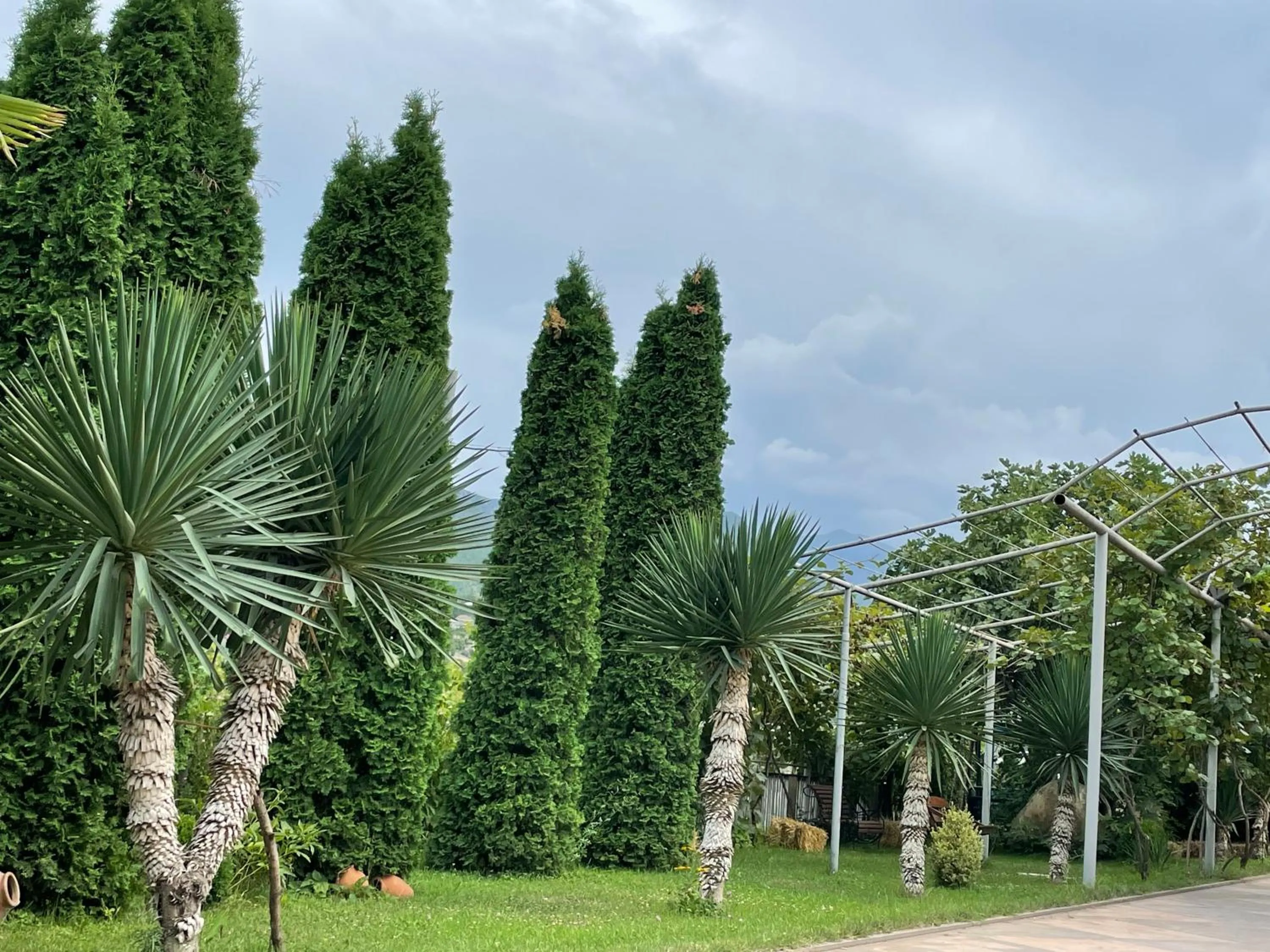 Natural landscape in Kamar Hotel Ijevan