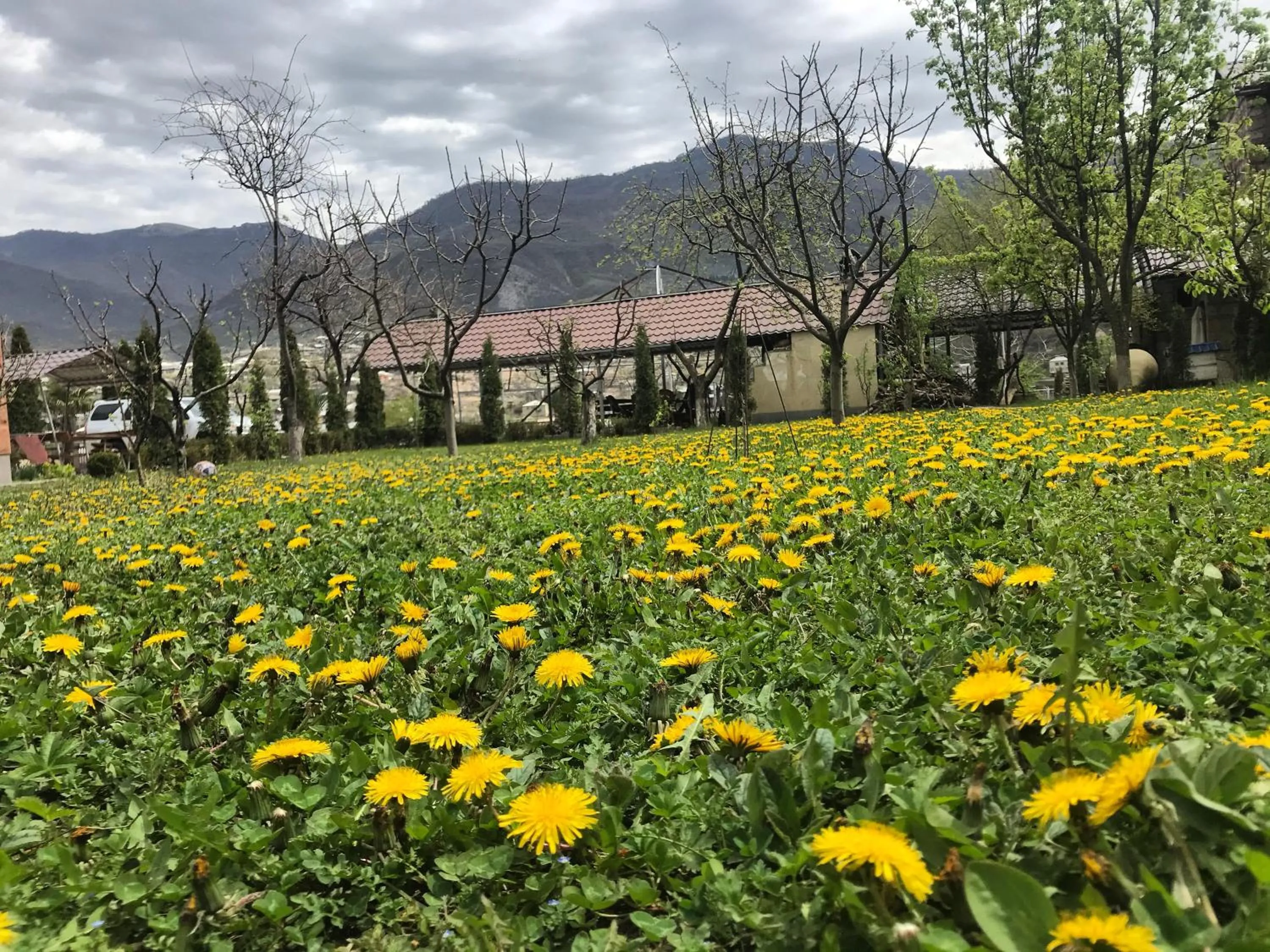 Natural landscape in Kamar Hotel Ijevan