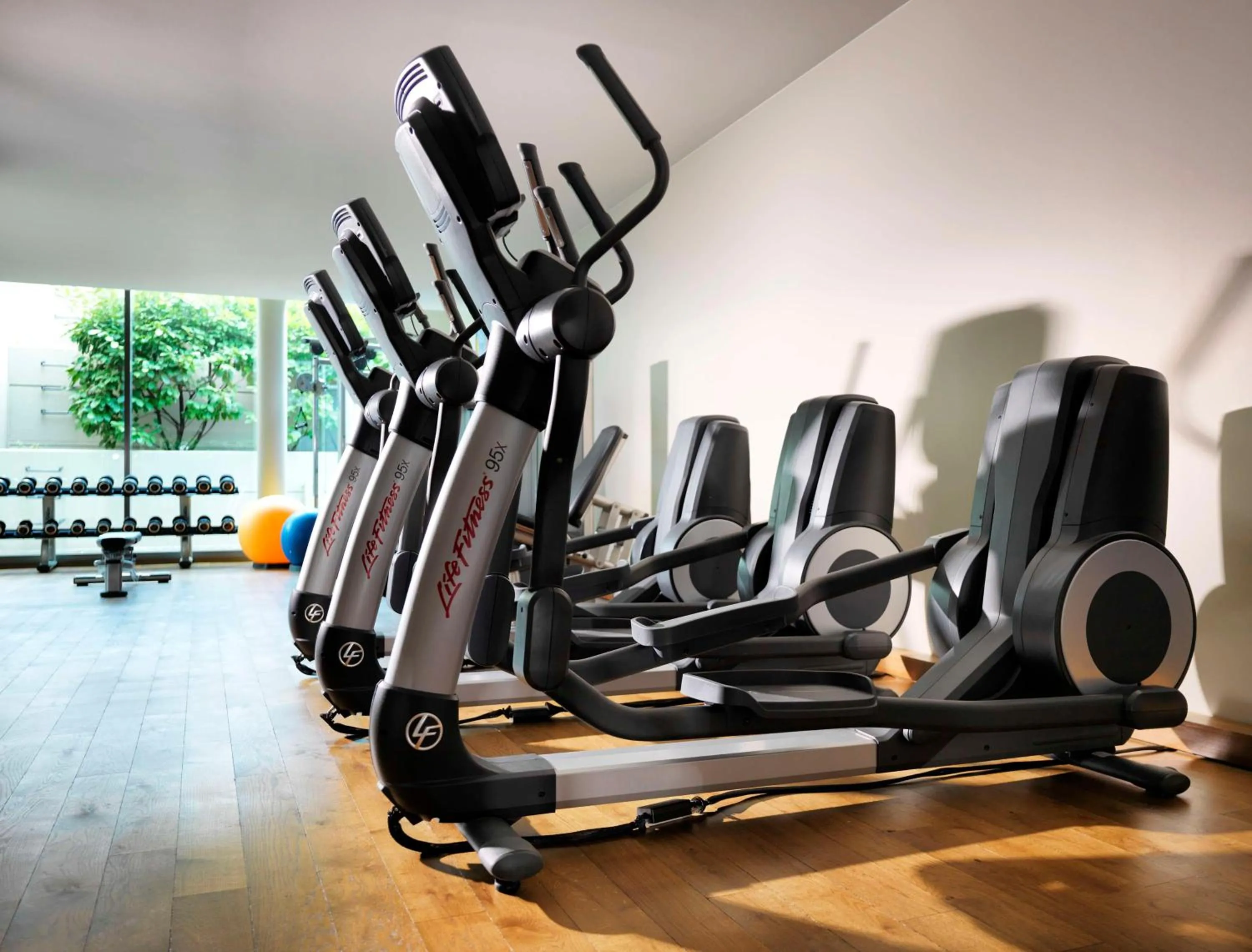 Fitness centre/facilities in Hyatt Regency Mainz