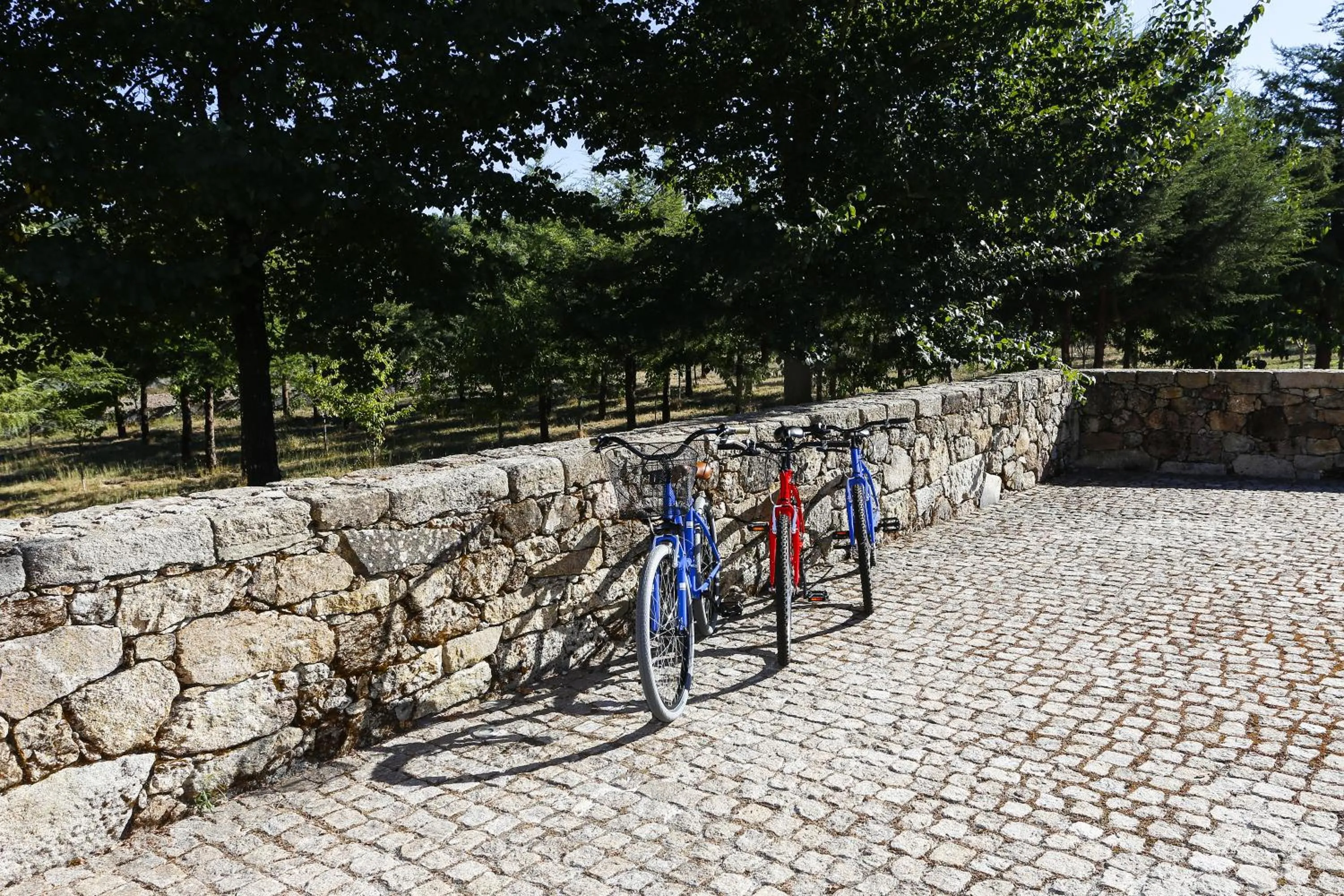 Activities in Solar Dos Cáceres
