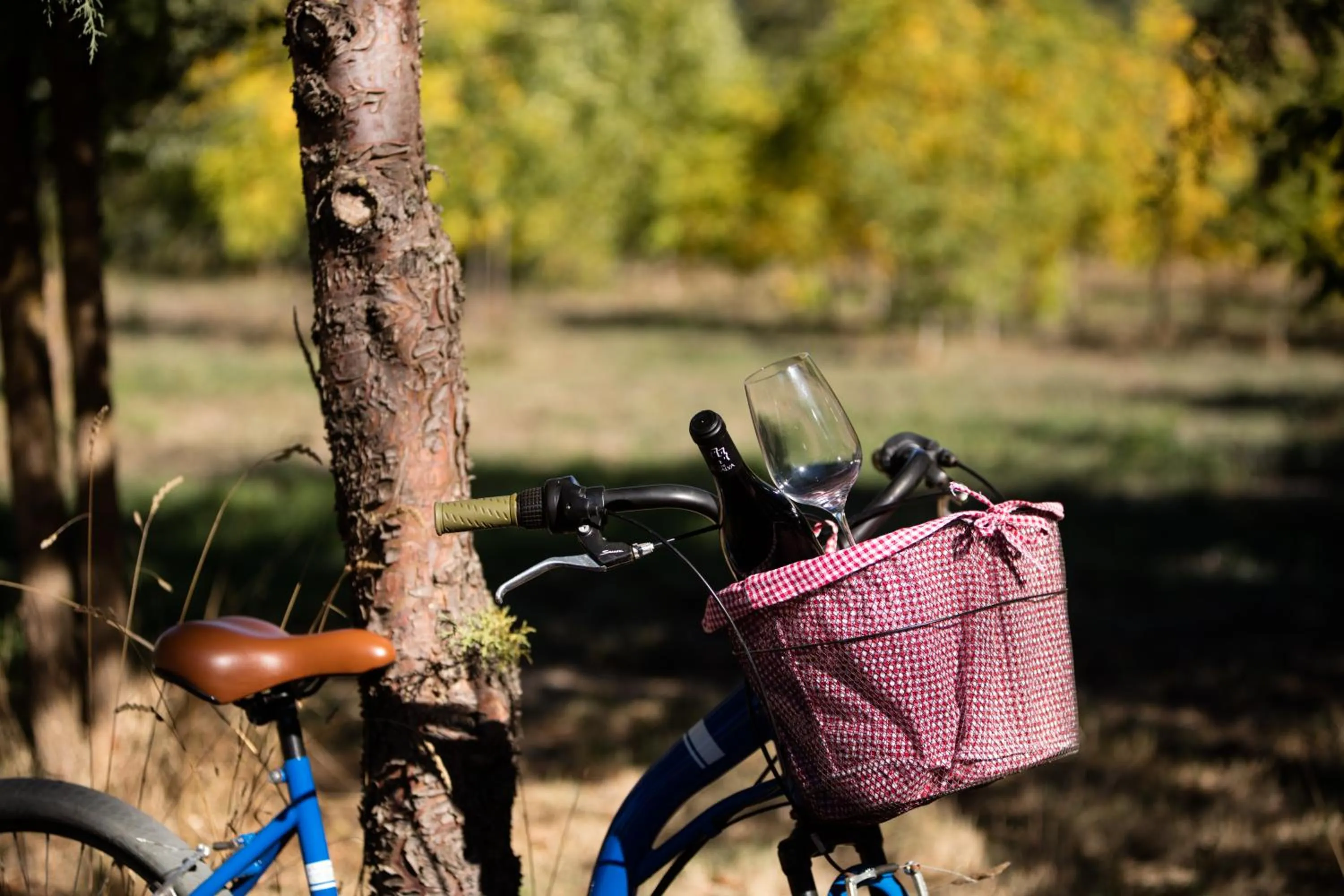 Food and drinks in Solar Dos Cáceres