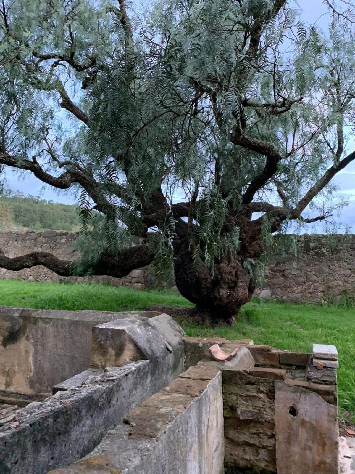 Antigua Hacienda Metepec